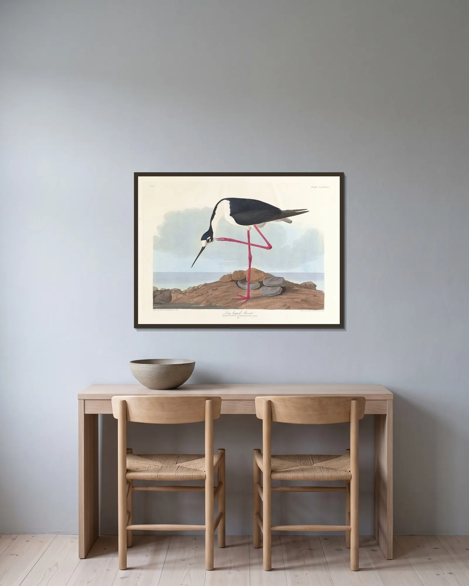 Long-legged avocet av John James Audubon inramad på en vägg