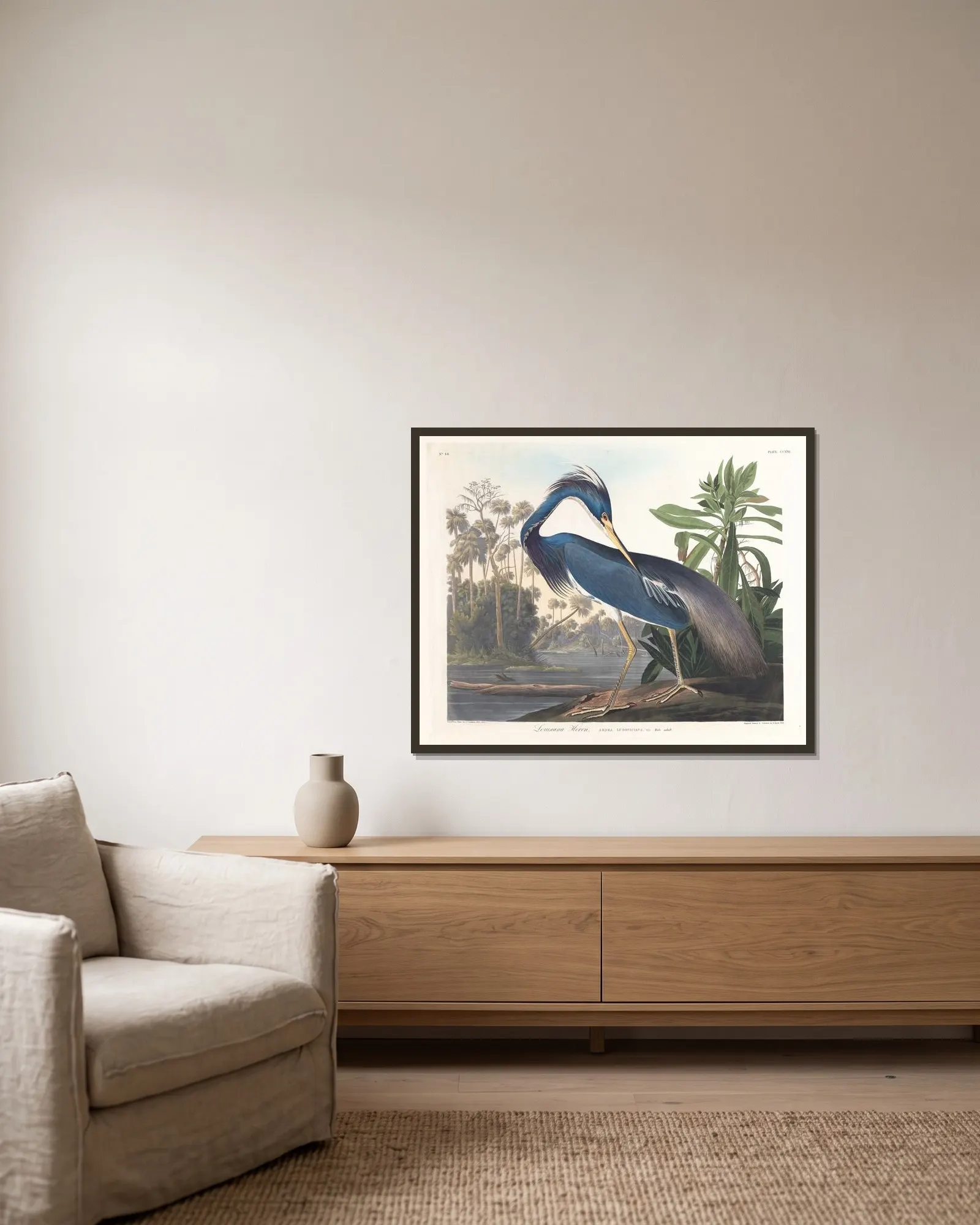 Louisiana heron av John James Audubon inramad på en vägg
