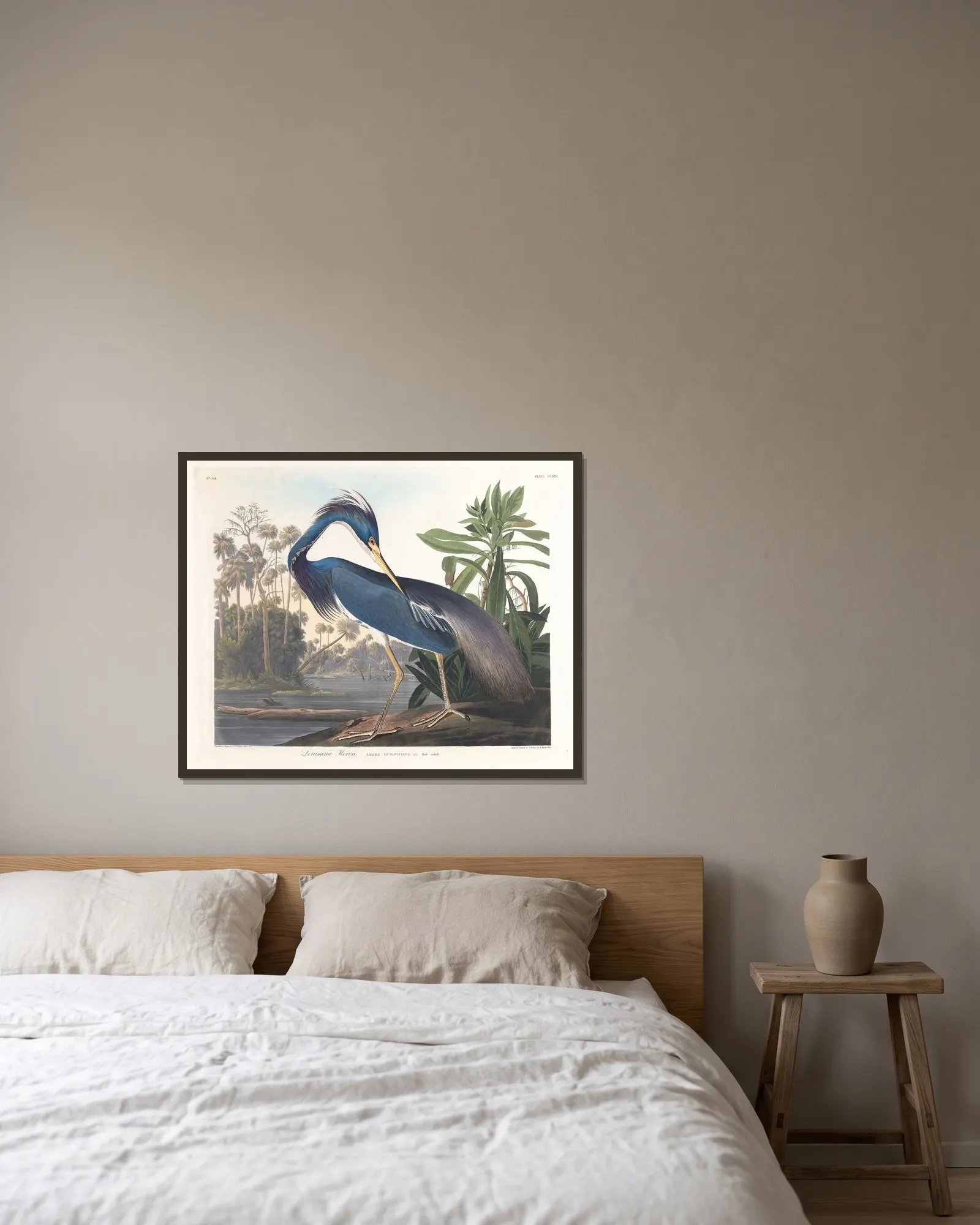 Louisiana heron av John James Audubon inramad på en vägg