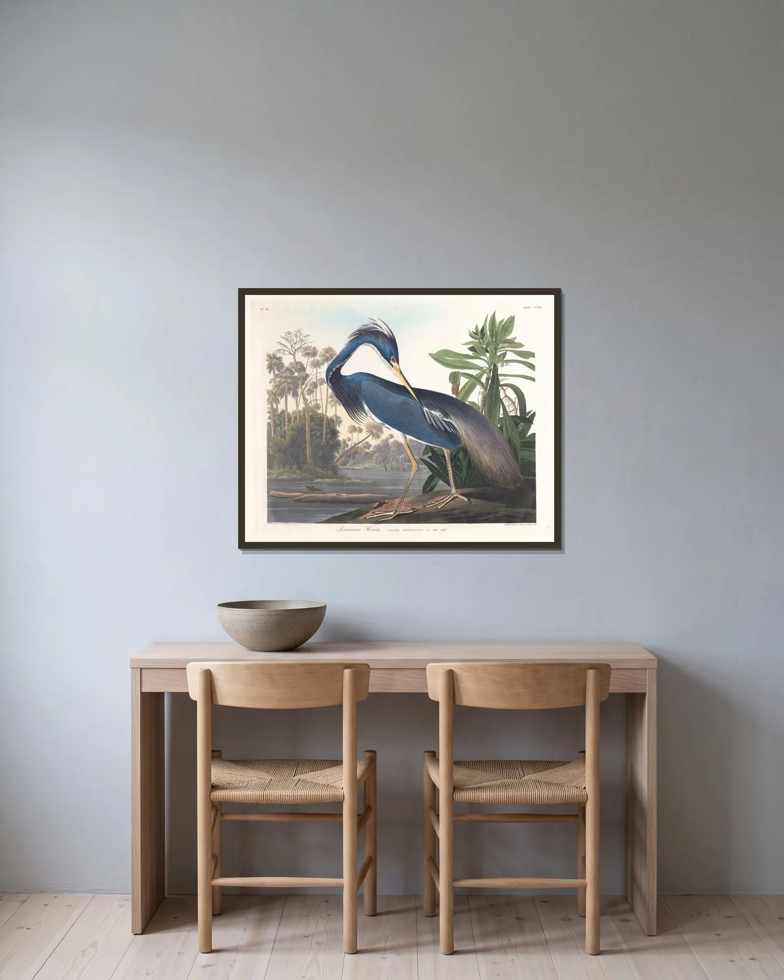 Louisiana heron av John James Audubon inramad på en vägg