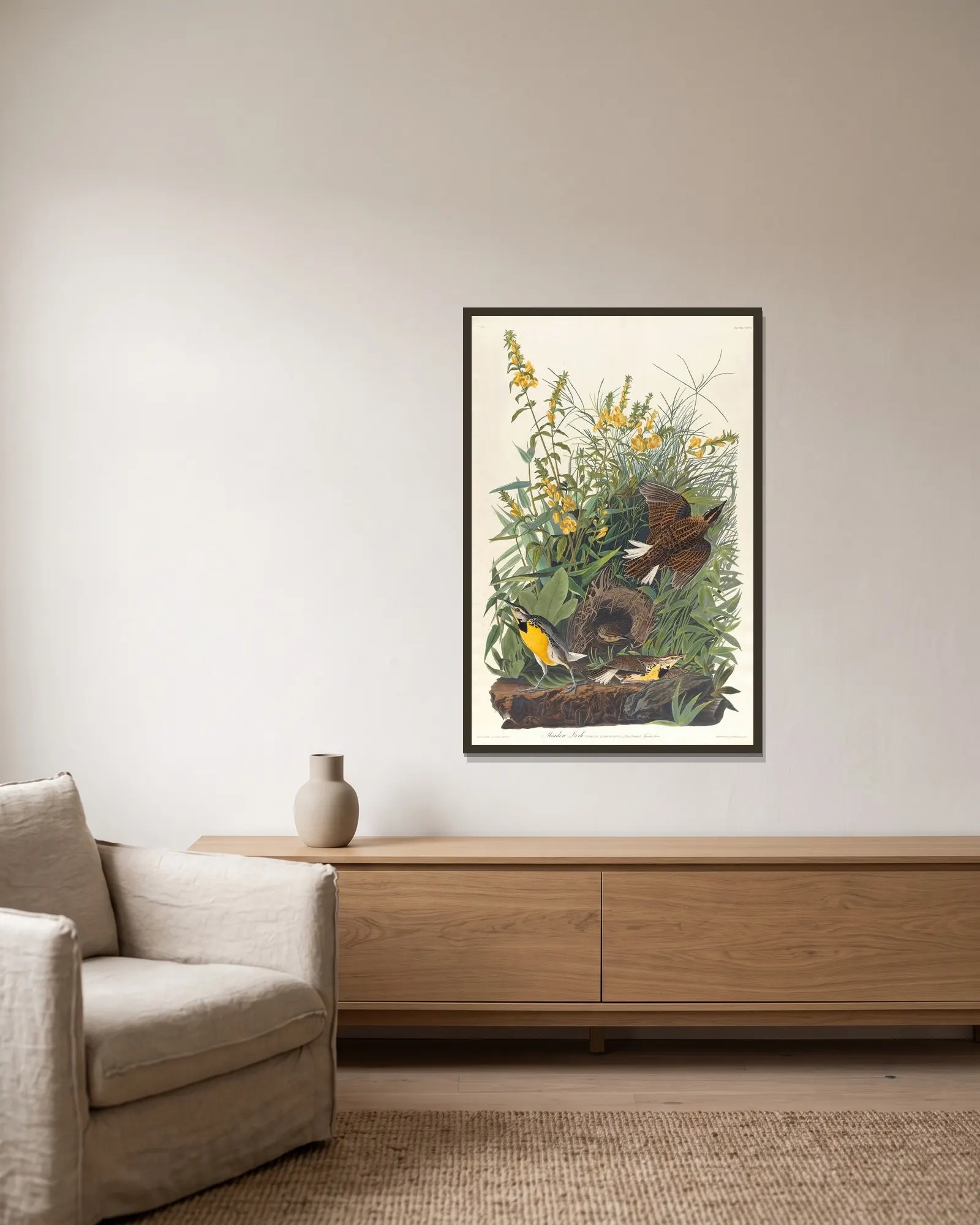 Meadow lark av John James Audubon inramad på en vägg