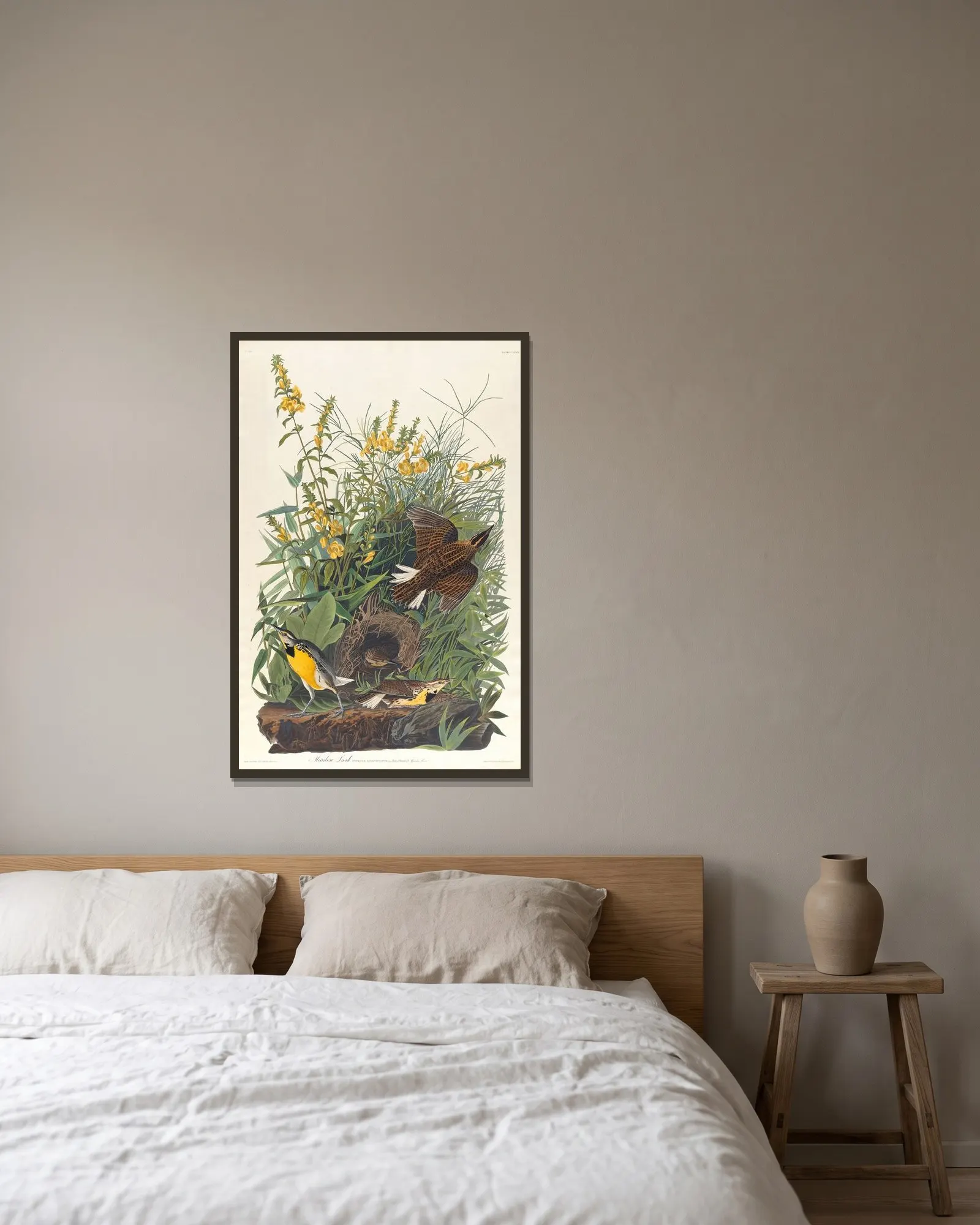 Meadow lark av John James Audubon inramad på en vägg