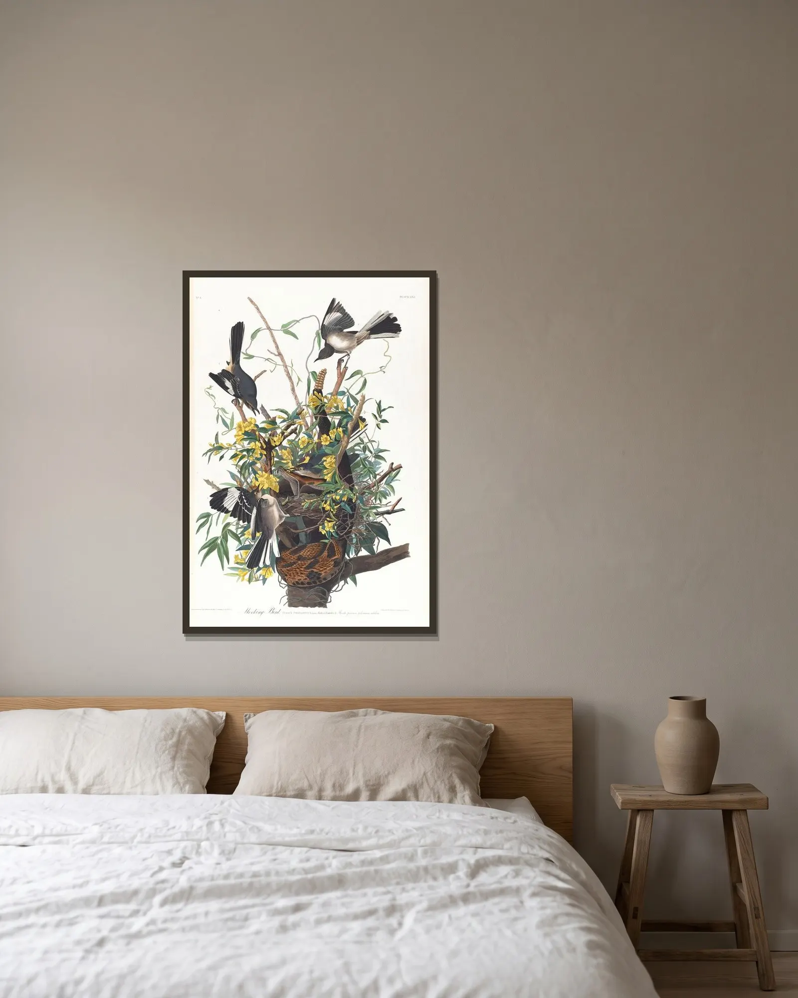 Mocking bird av John James Audubon inramad på en vägg