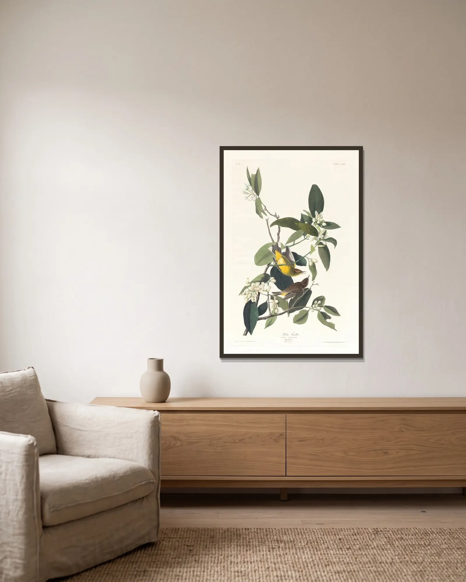 Palm warbler av John James Audubon inramad på en vägg