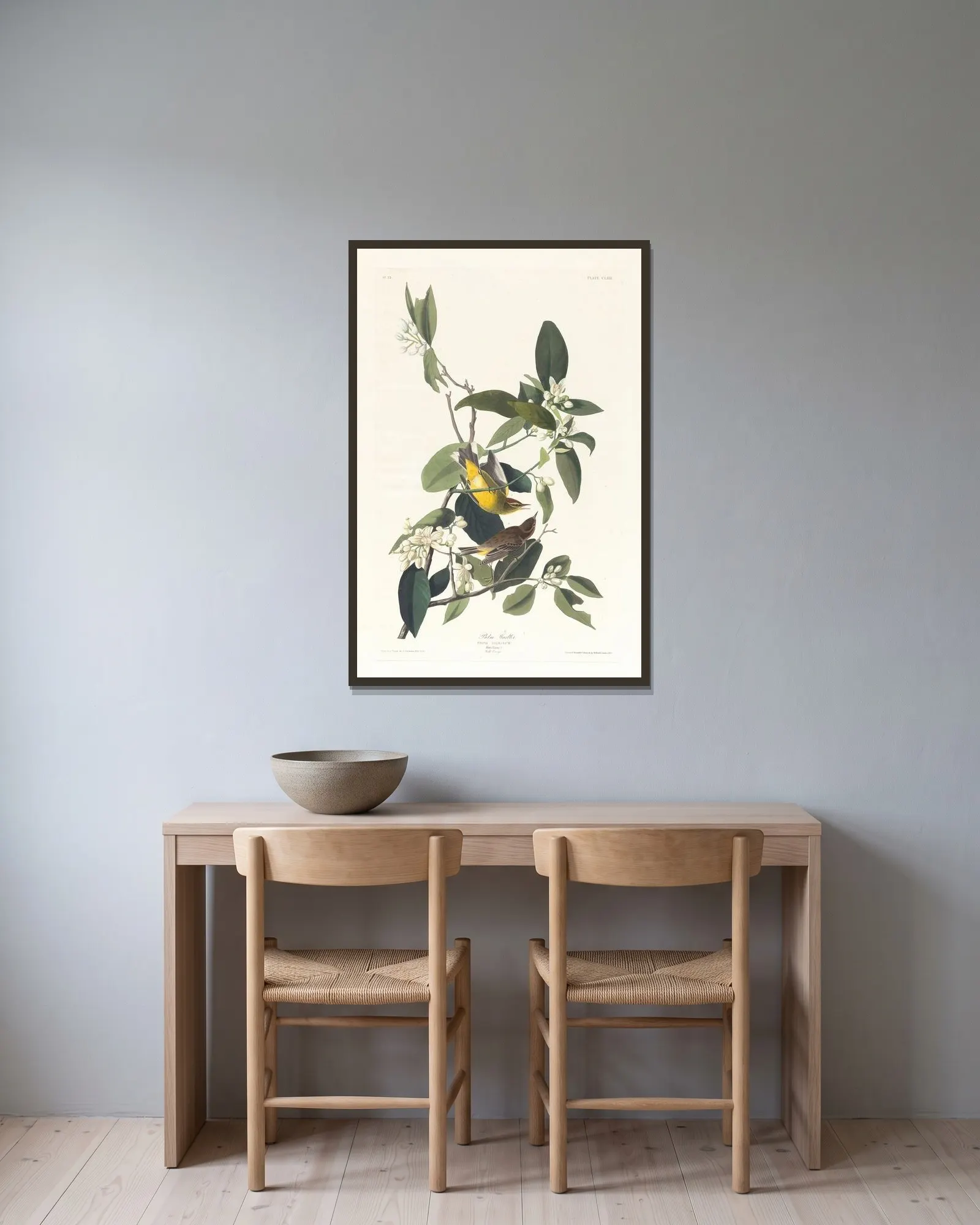 Palm warbler av John James Audubon inramad på en vägg