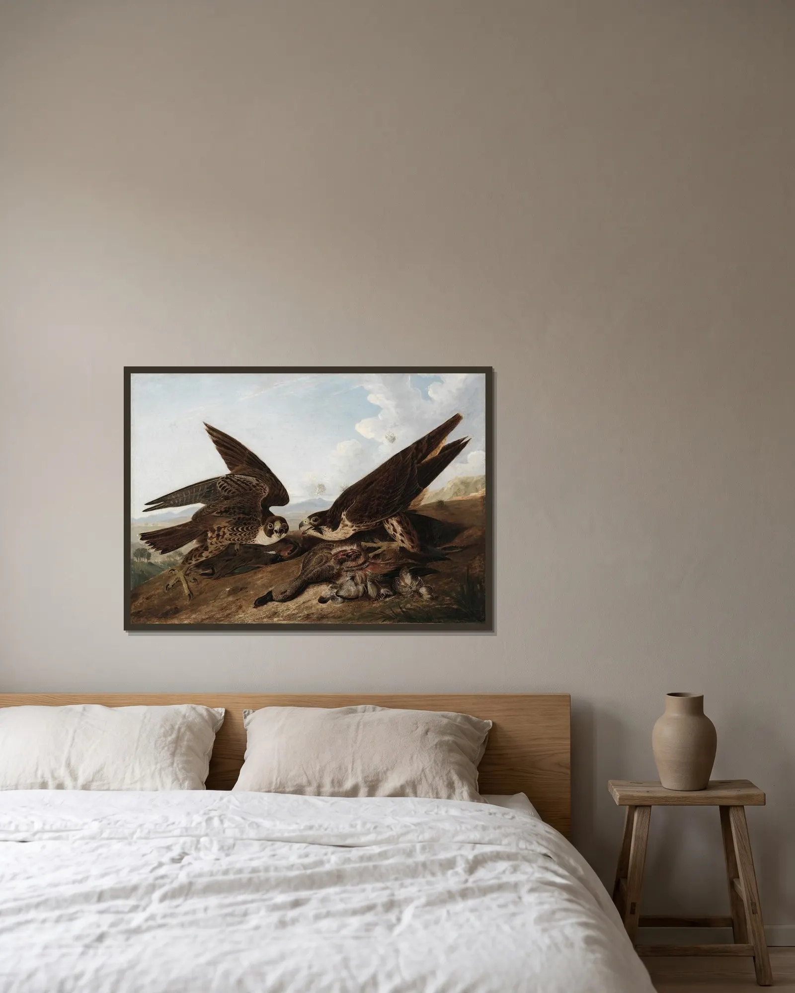 Peregrine Falcons (Duck Hawks) av John James Audubon inramad på en vägg