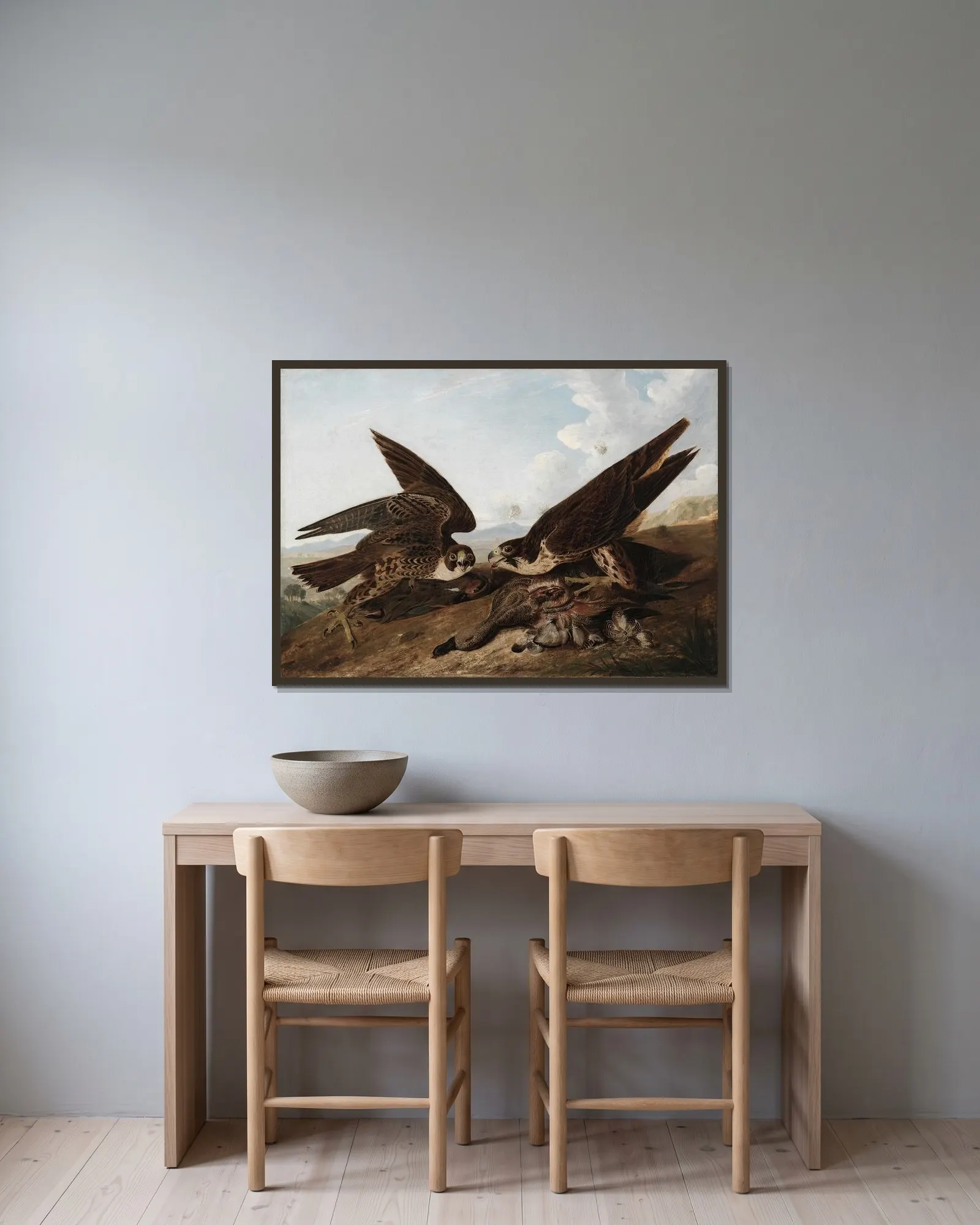 Peregrine Falcons (Duck Hawks) av John James Audubon inramad på en vägg