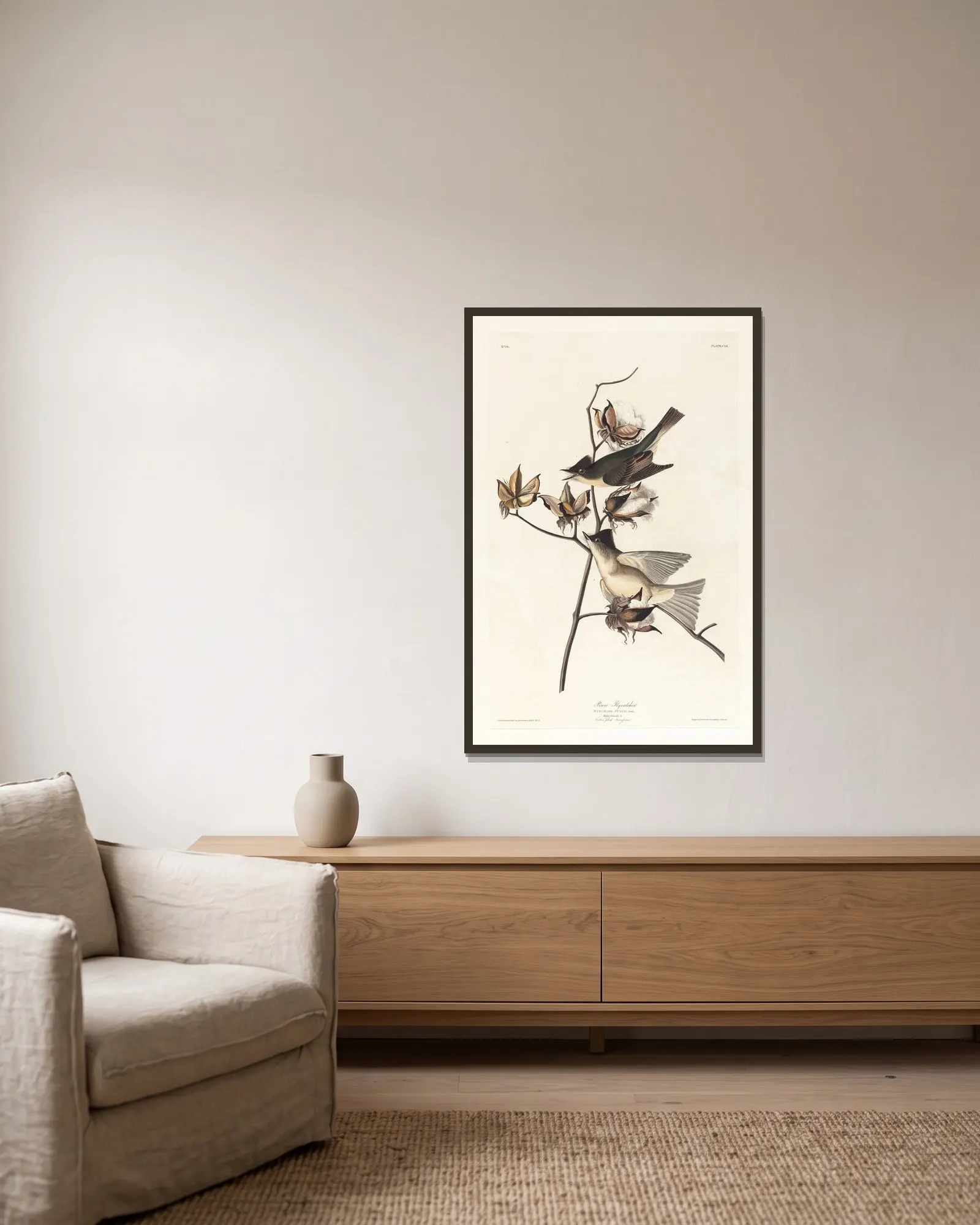 Pewit flycatcher av John James Audubon inramad på en vägg