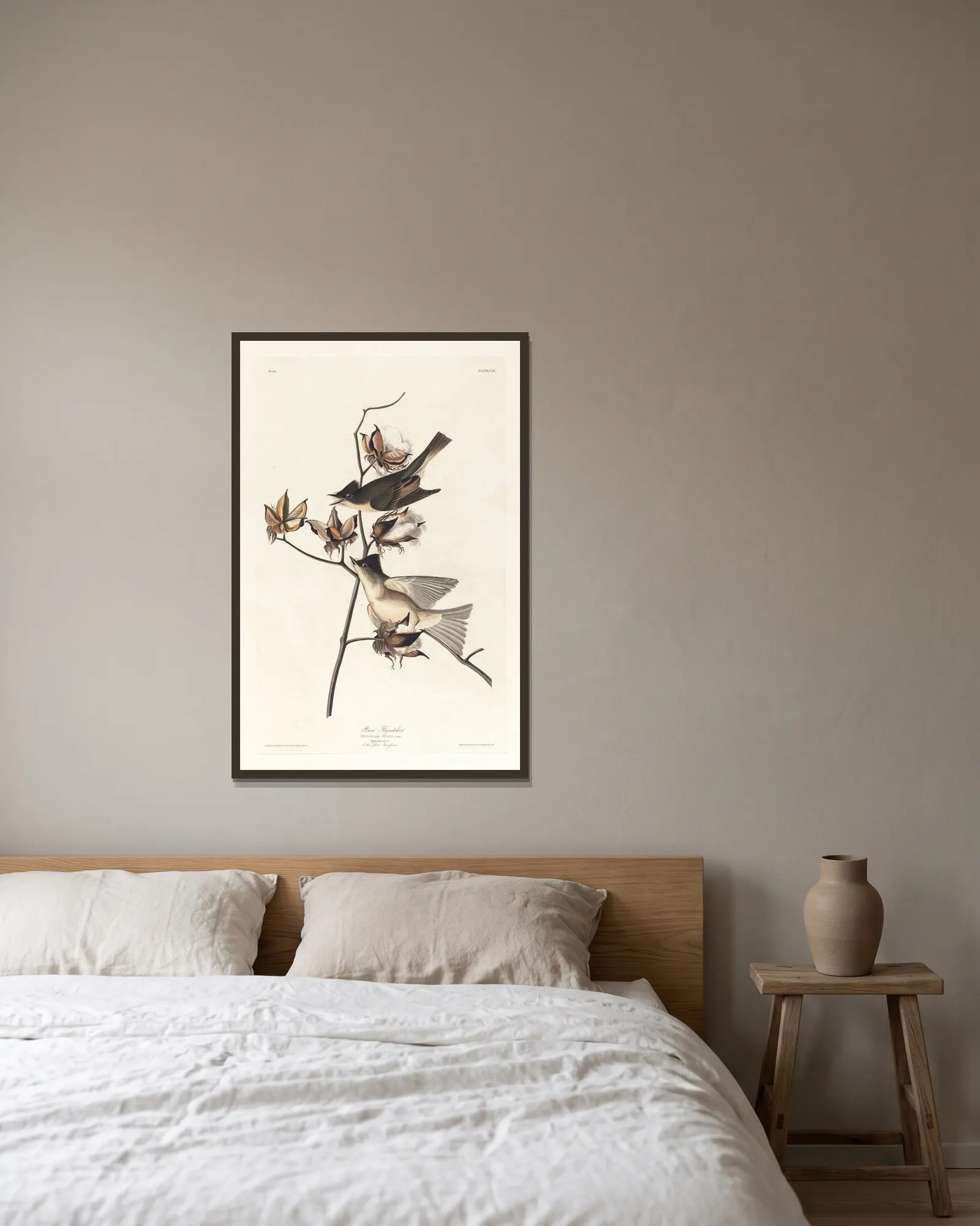 Pewit flycatcher av John James Audubon inramad på en vägg