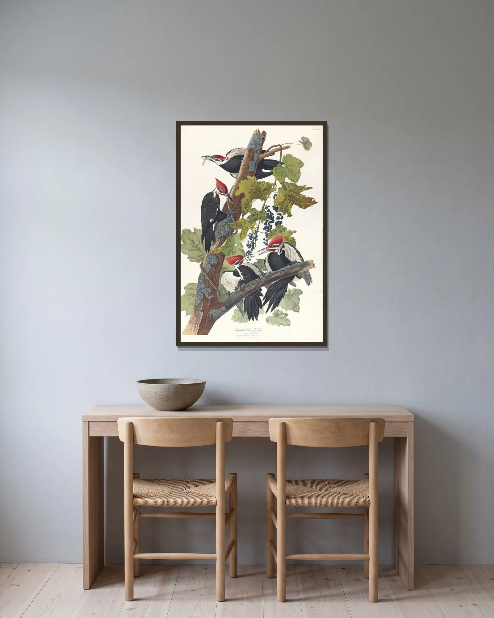 Pileated woodpecker, 1827 – nr 1 av John James Audubon inramad på en vägg
