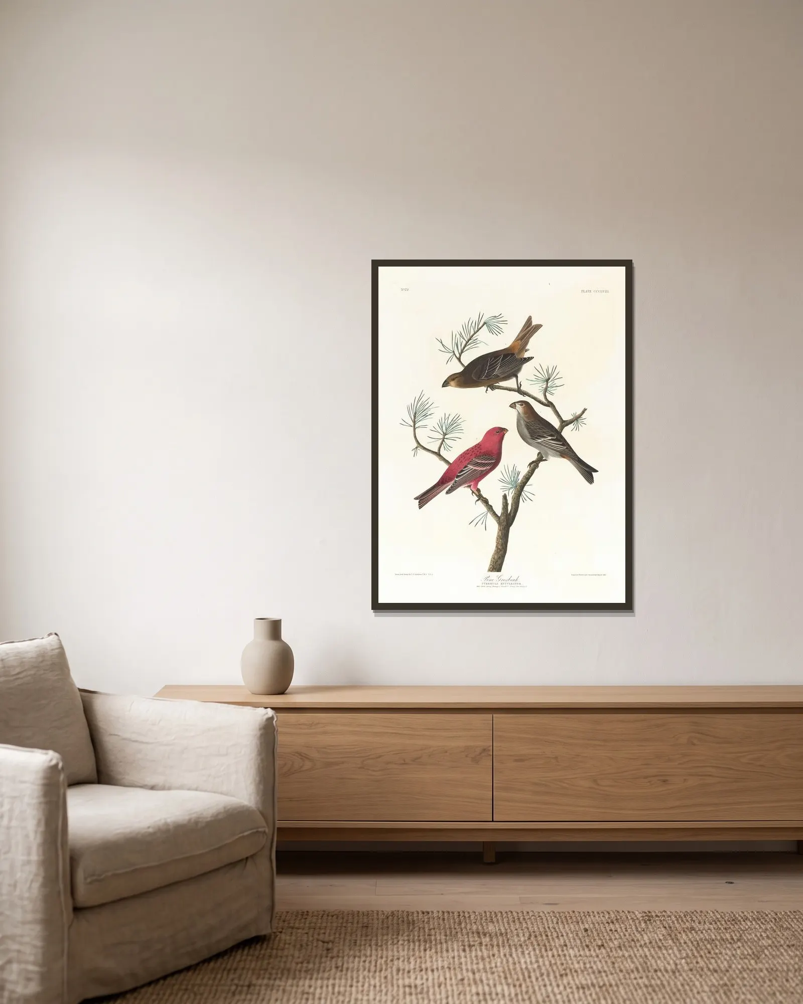 Pine grosbeak av John James Audubon inramad på en vägg