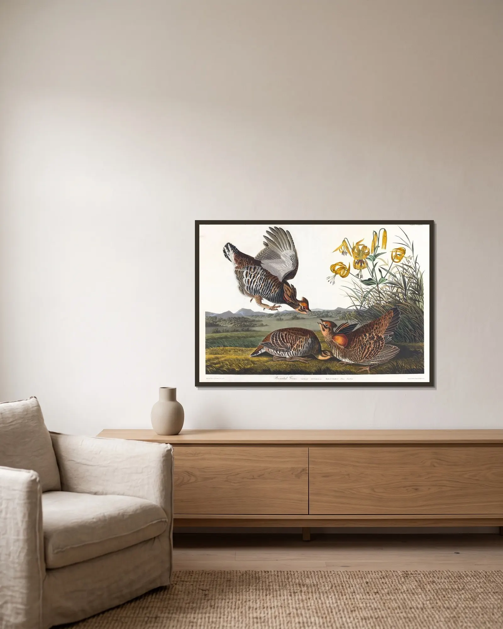 Pinnated grous av John James Audubon inramad på en vägg