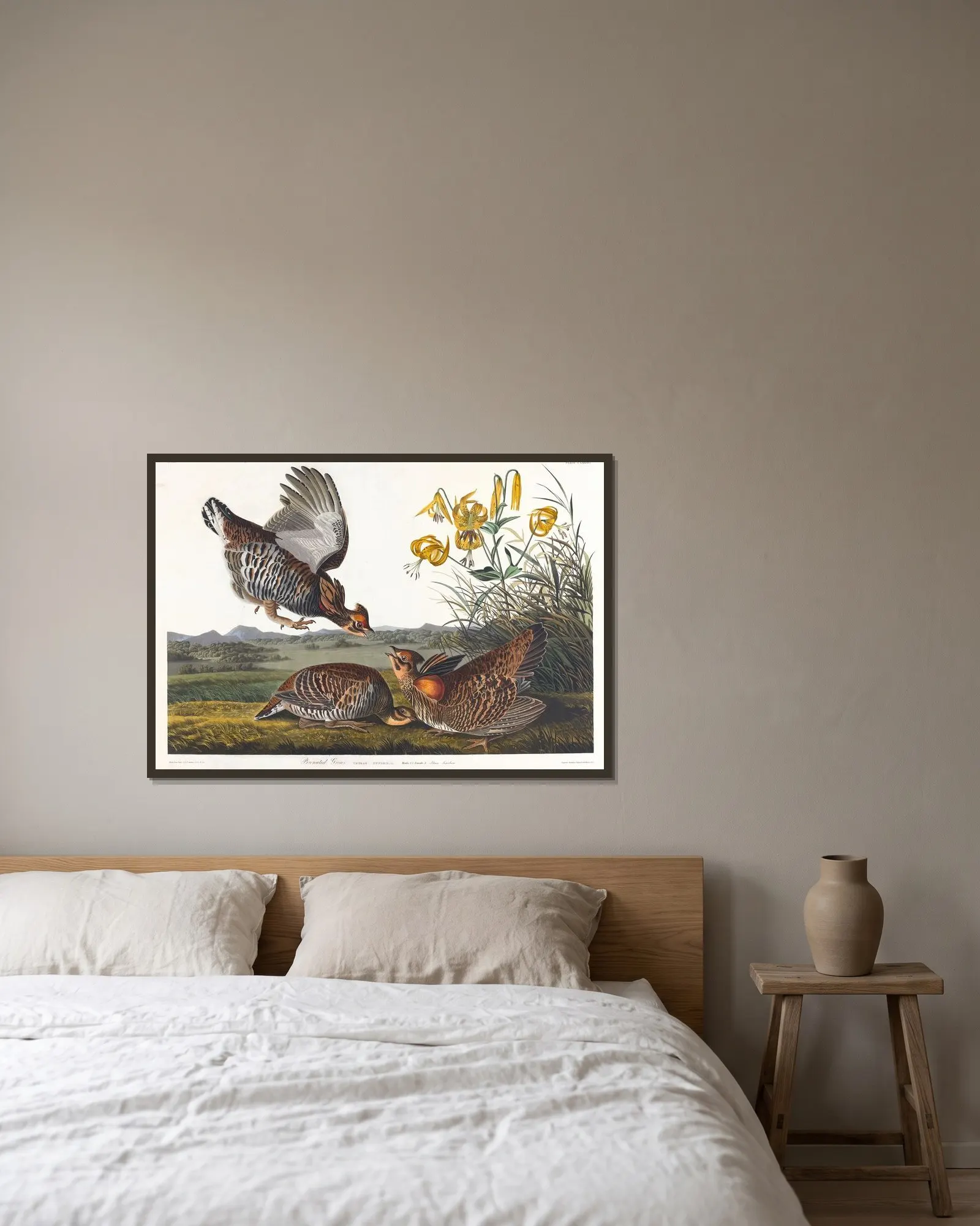 Pinnated grous av John James Audubon inramad på en vägg