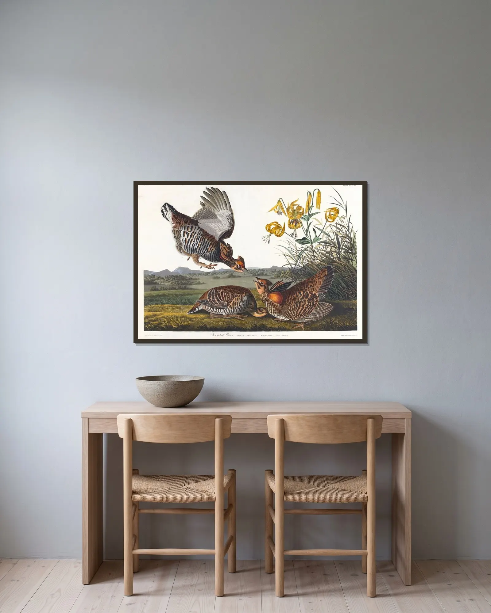 Pinnated grous av John James Audubon inramad på en vägg