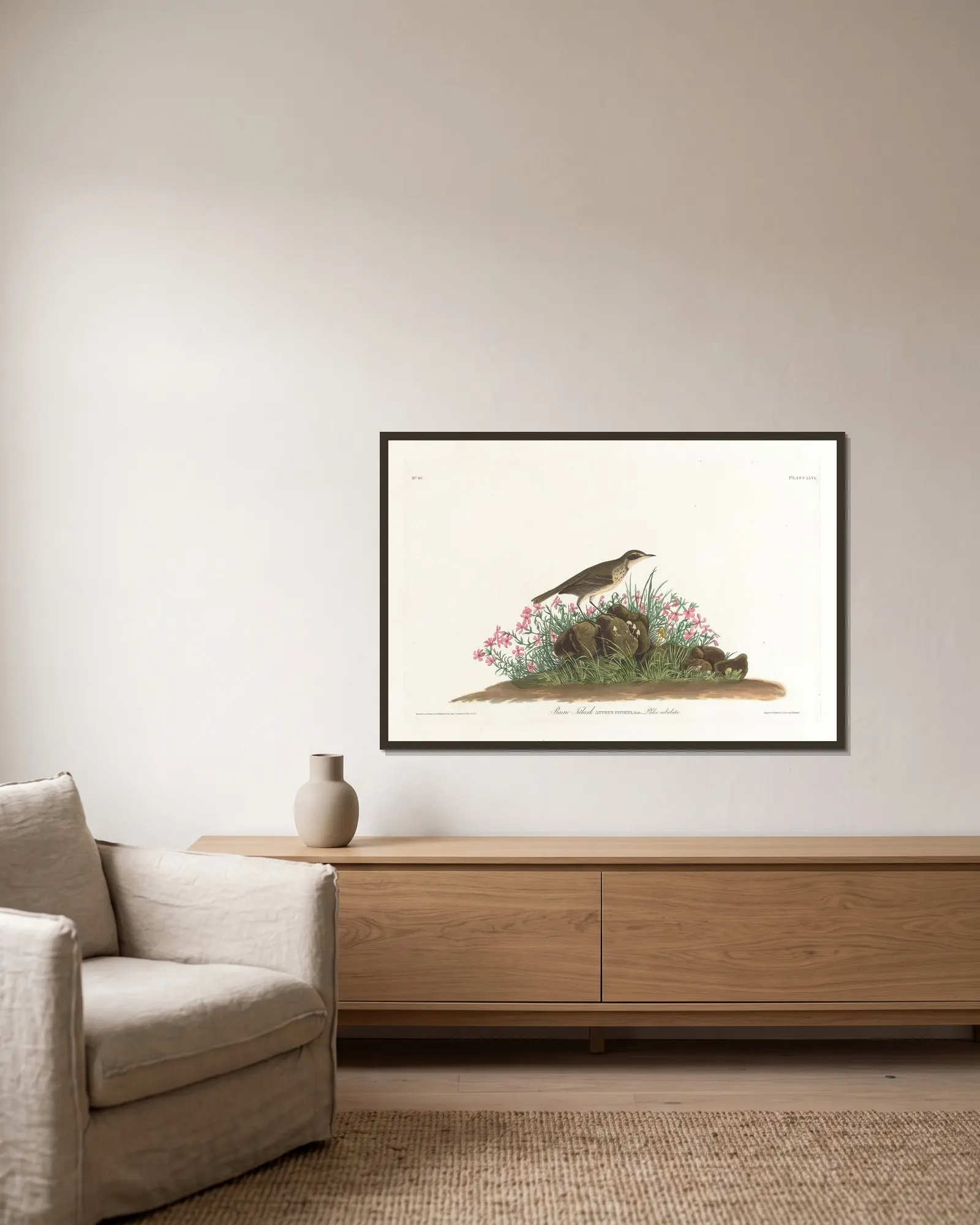 Prairie titlark av John James Audubon inramad på en vägg