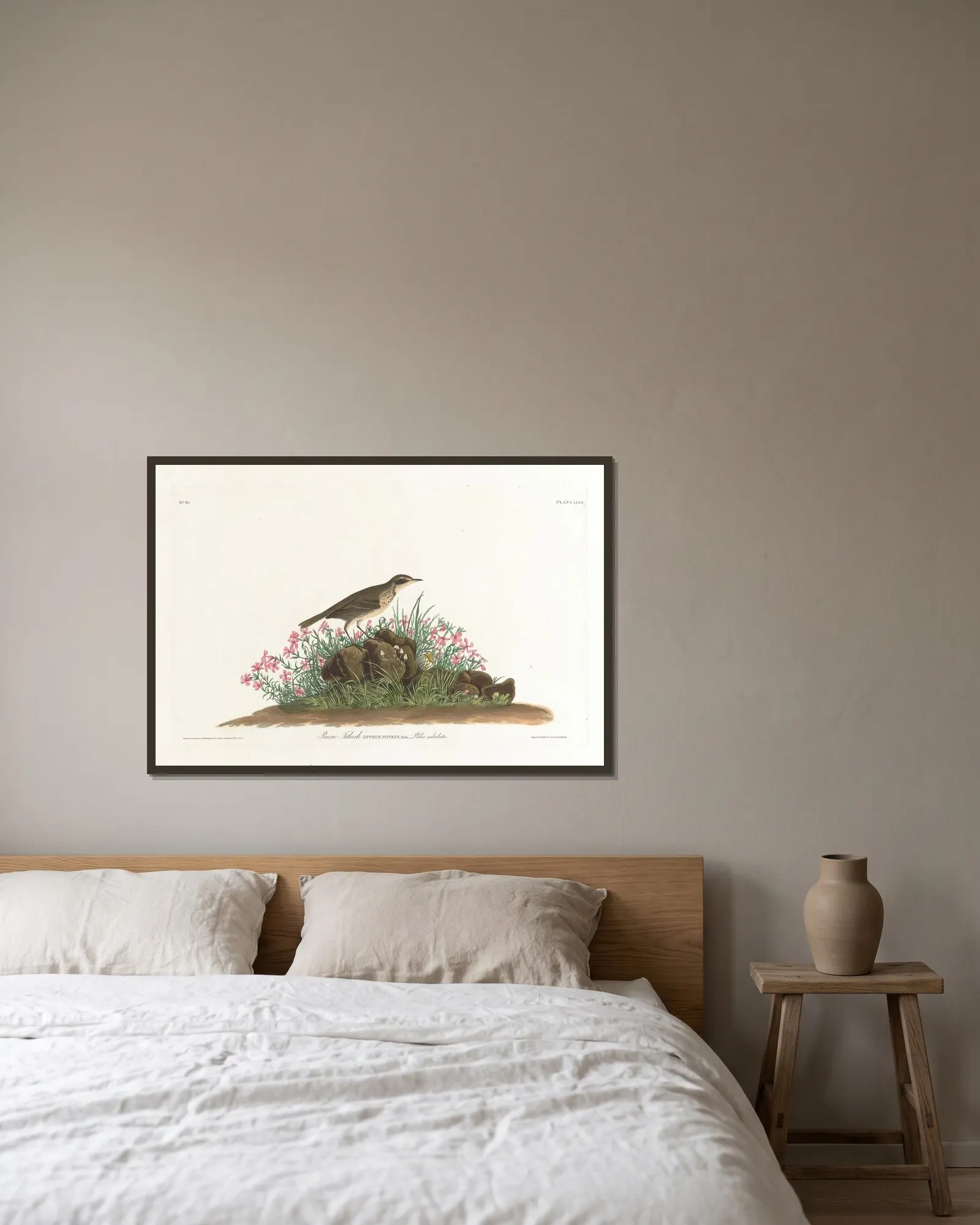 Prairie titlark av John James Audubon inramad på en vägg