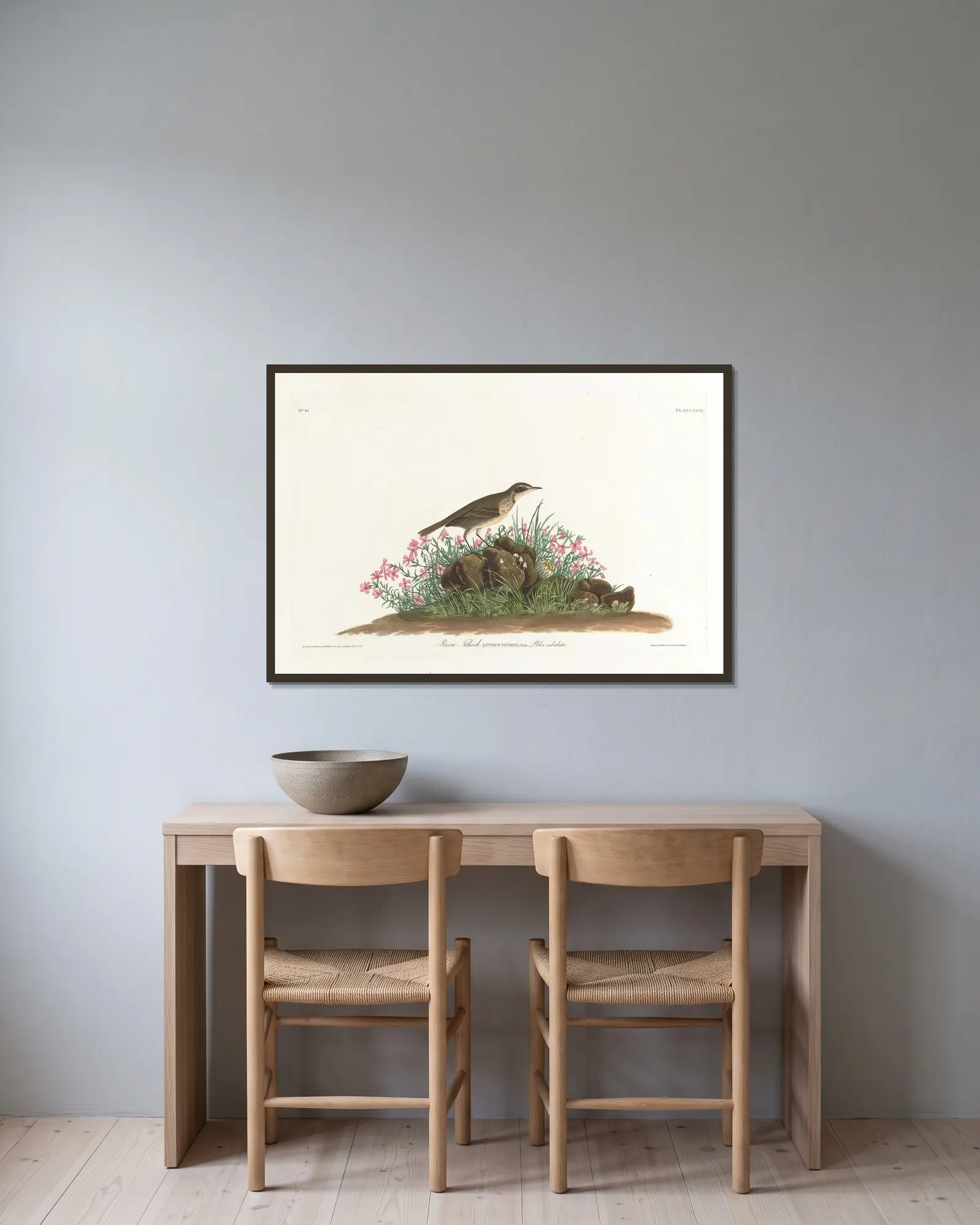 Prairie titlark av John James Audubon inramad på en vägg