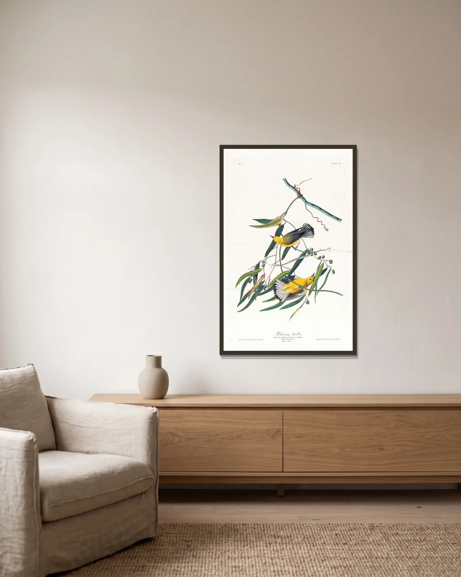 Prothonotary warbler av John James Audubon inramad på en vägg