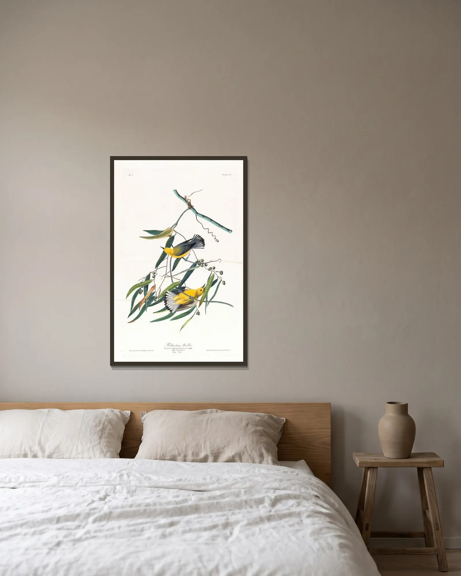 Prothonotary warbler av John James Audubon inramad på en vägg