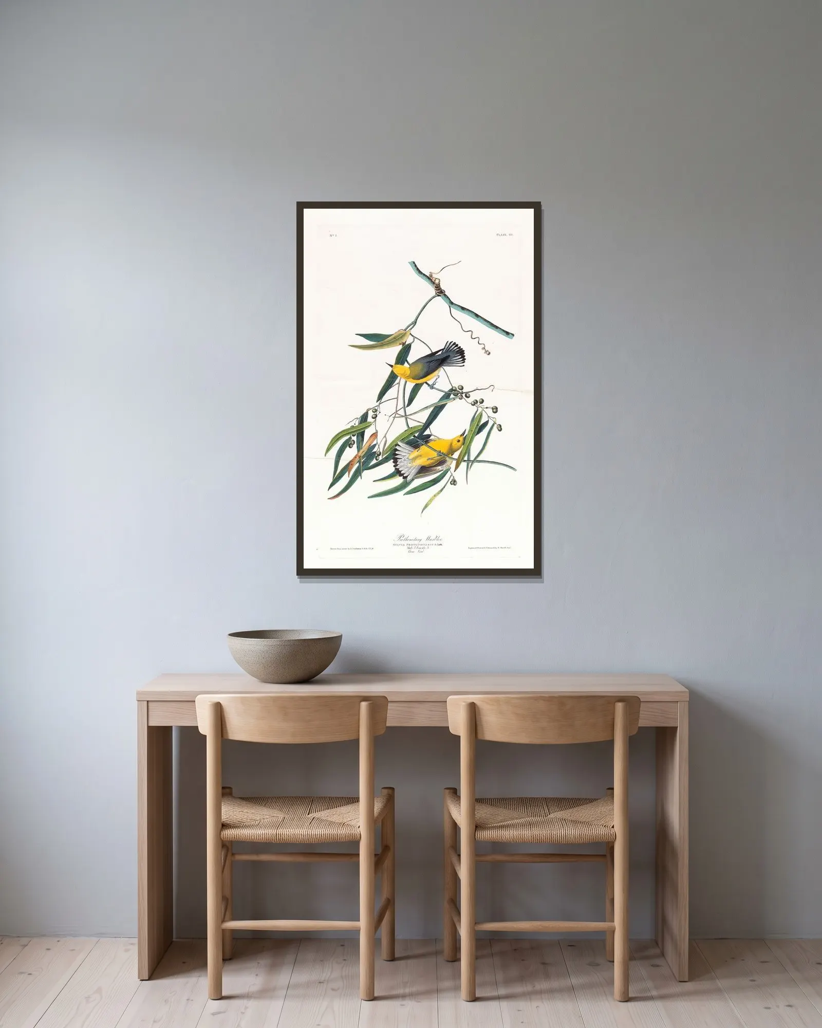 Prothonotary warbler av John James Audubon inramad på en vägg