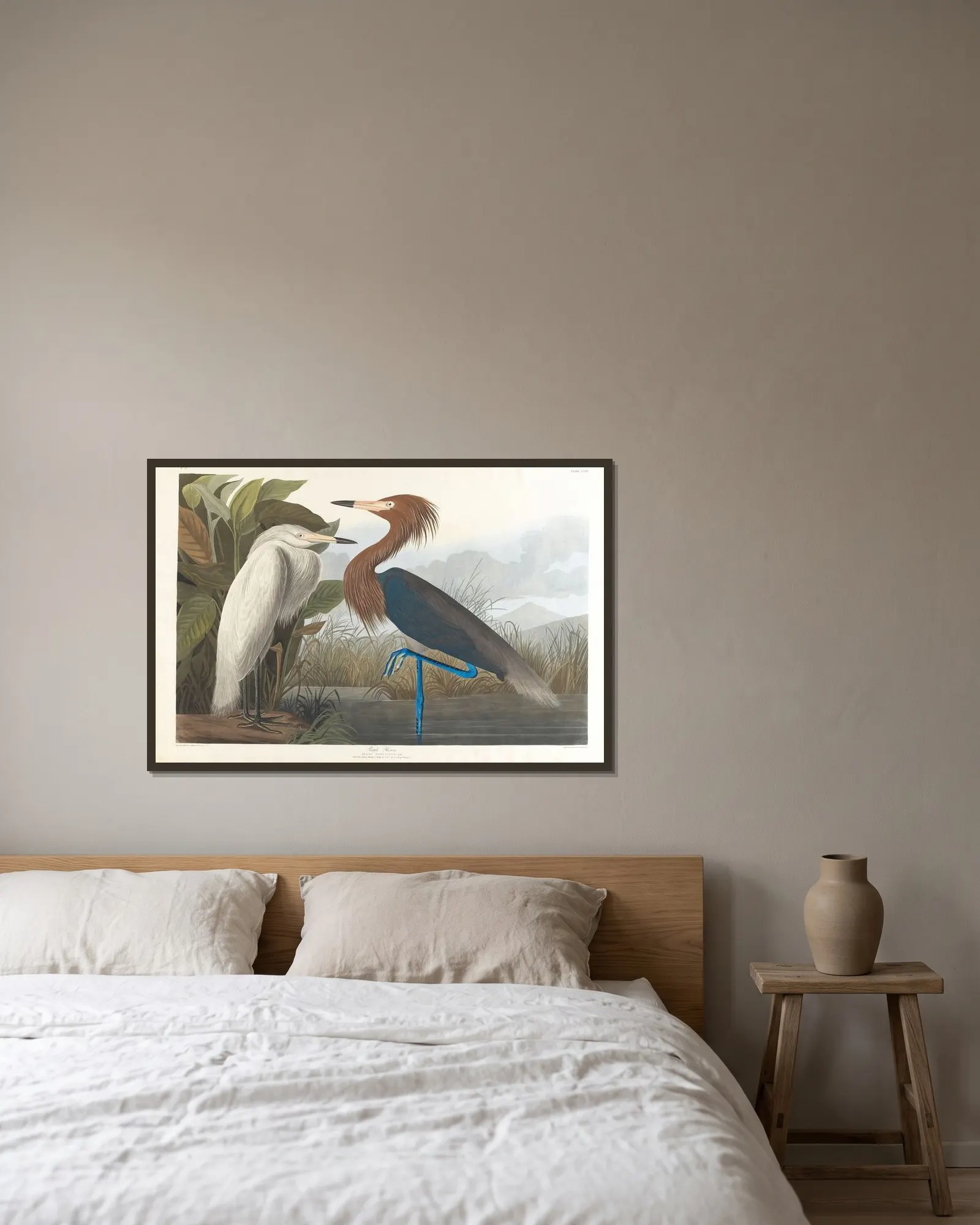 Purple heron av John James Audubon inramad på en vägg
