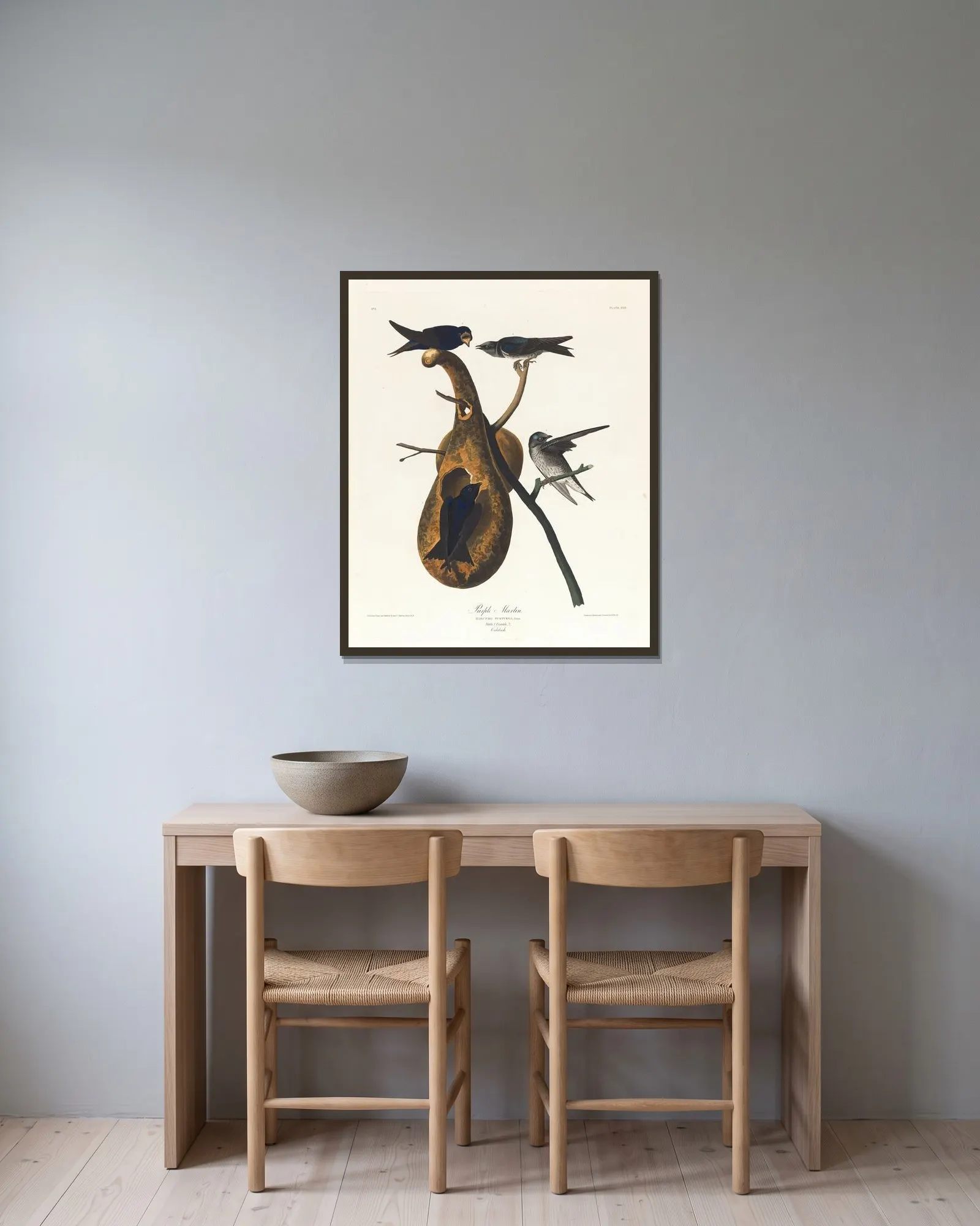 Purple martin av John James Audubon inramad på en vägg