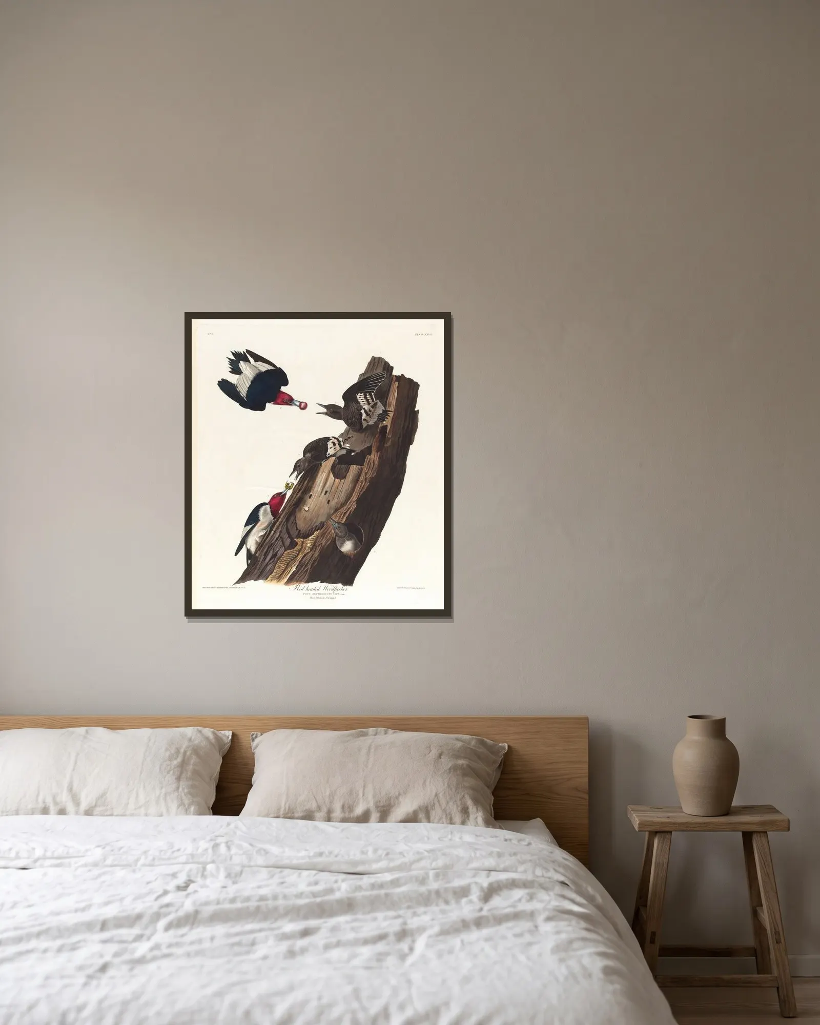 Red headed woodpecker av John James Audubon inramad på en vägg