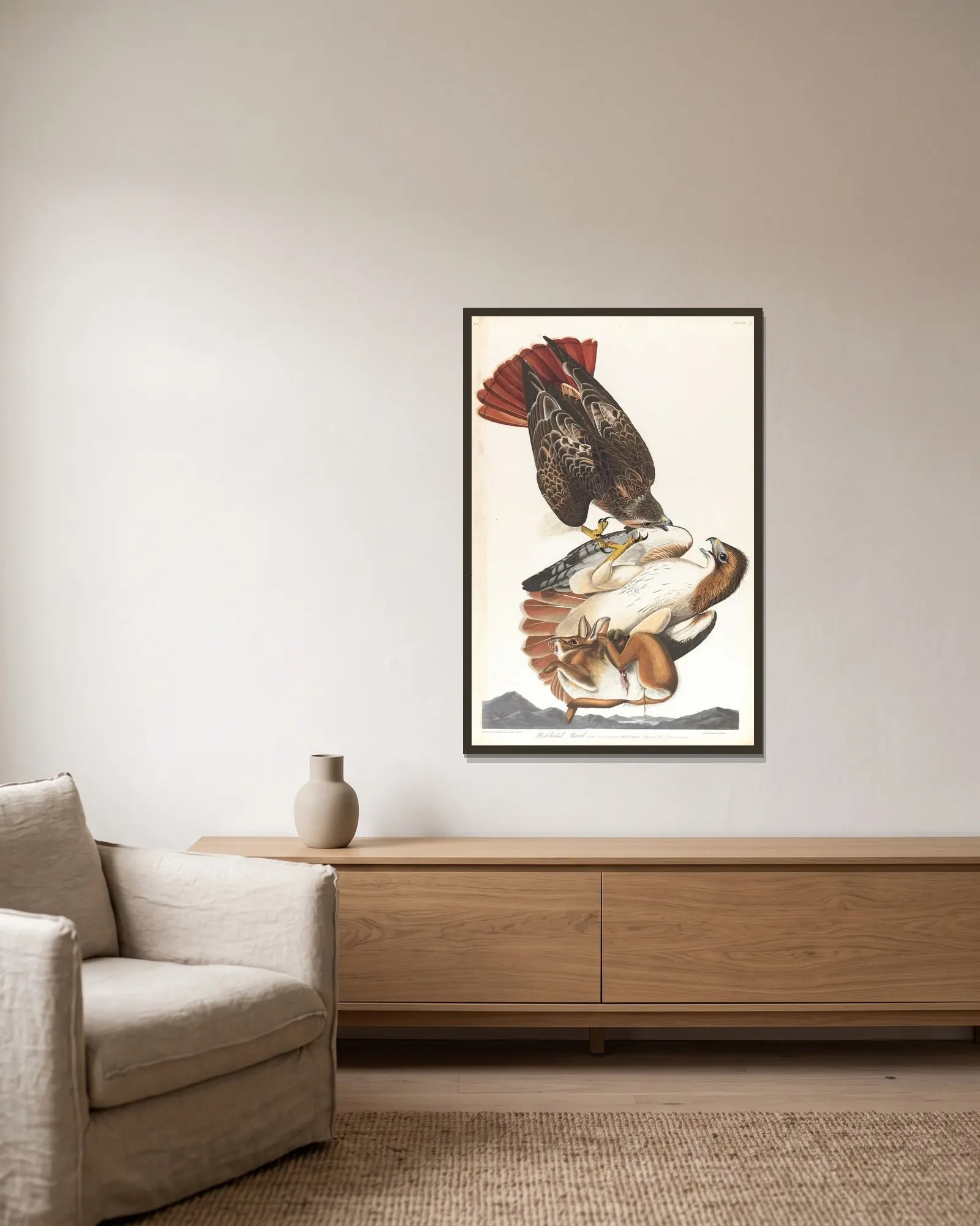 Red-tailed hawk, 1827 – nr 2 av John James Audubon inramad på en vägg