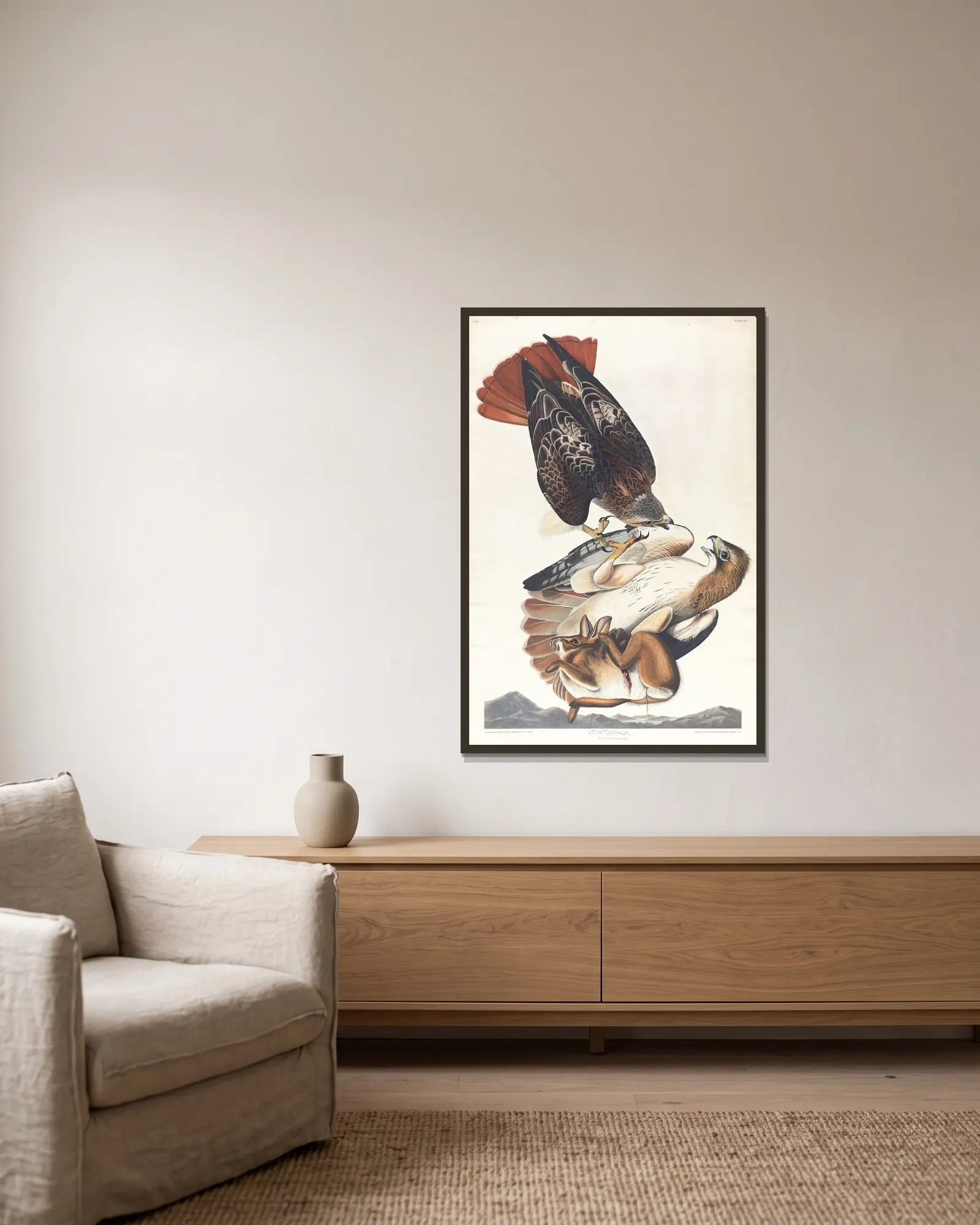 Red tailed hawk av John James Audubon inramad på en vägg