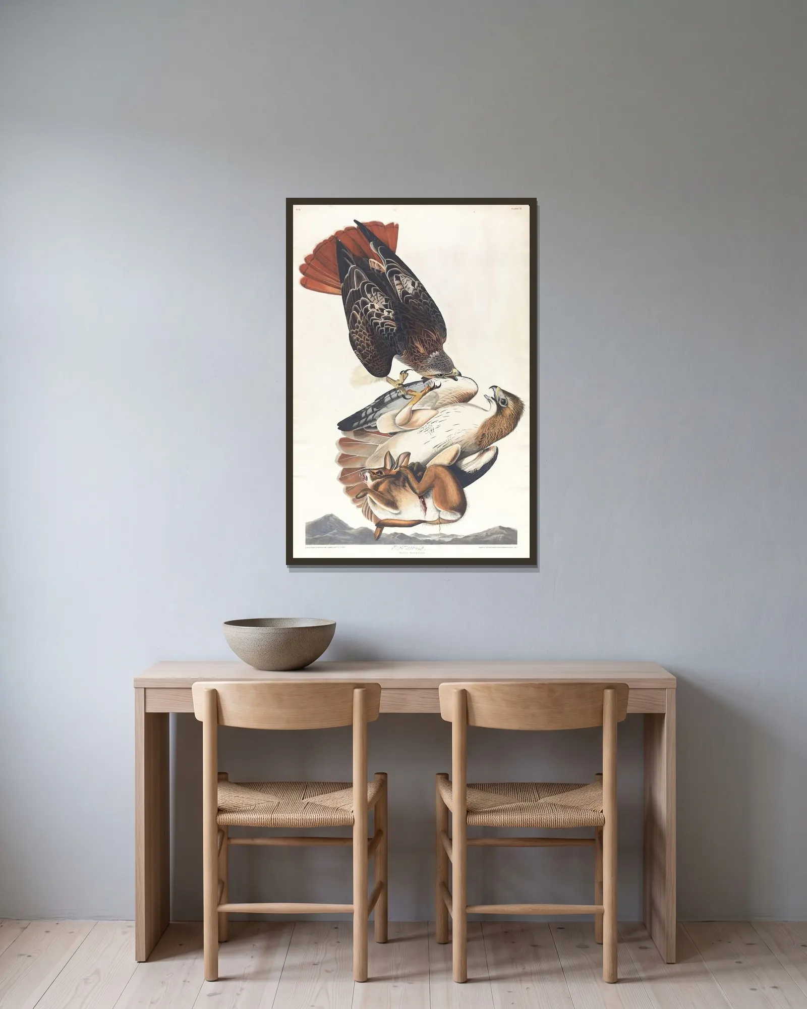 Red tailed hawk av John James Audubon inramad på en vägg