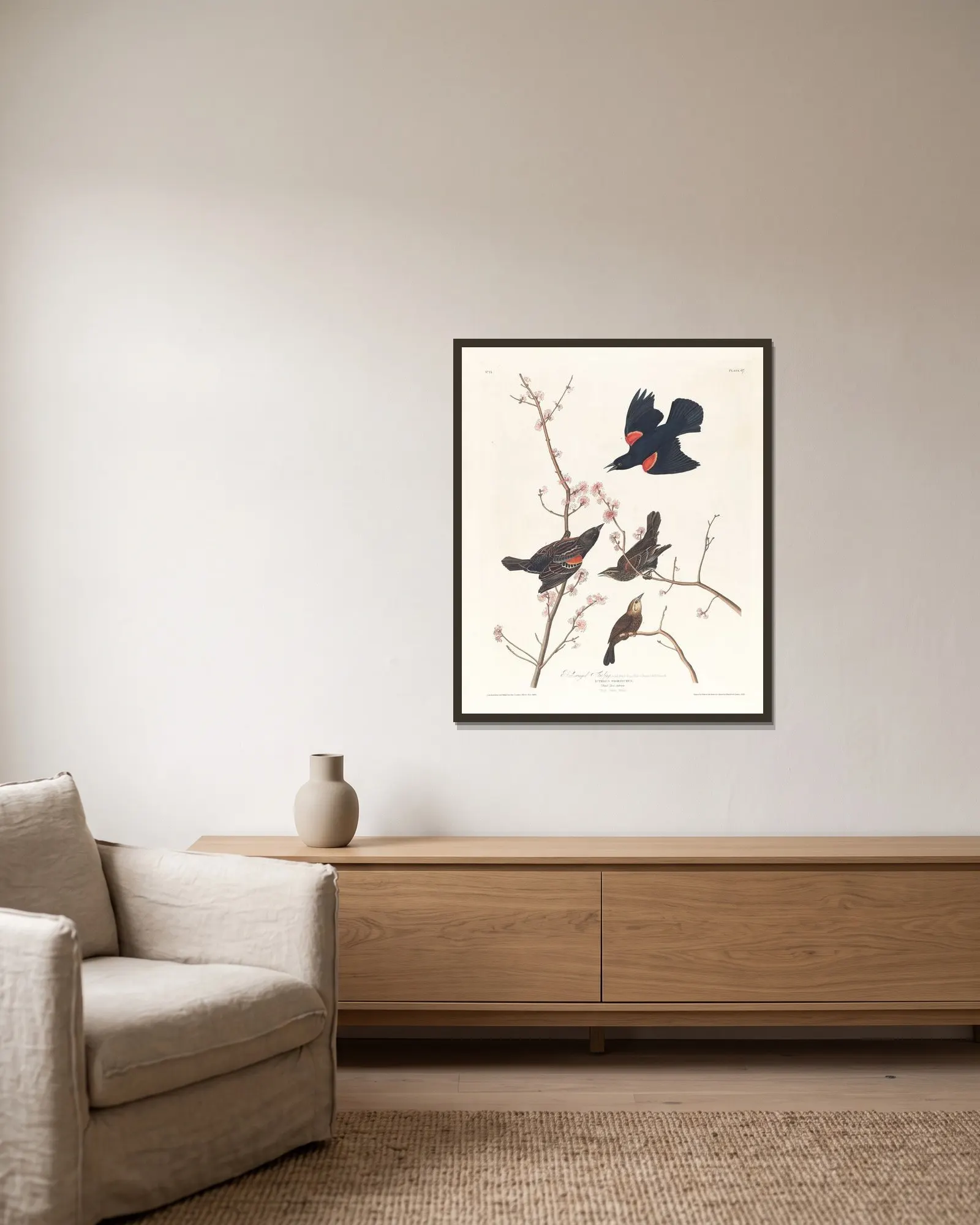 Red-winged starling av John James Audubon inramad på en vägg