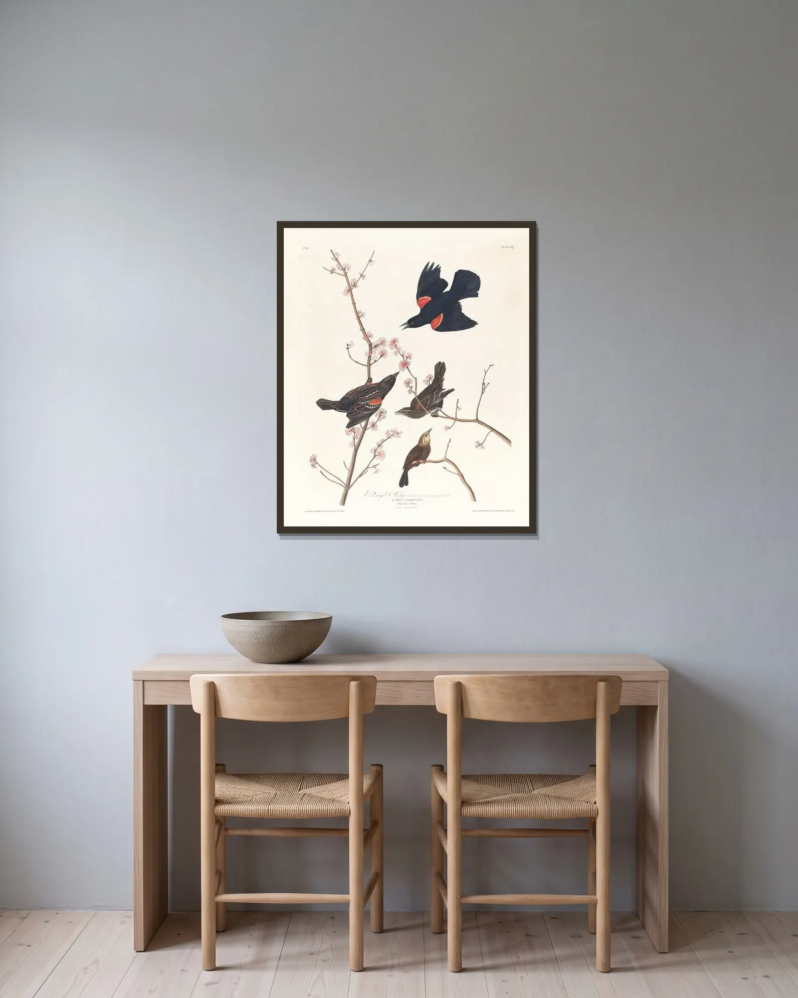Red-winged starling av John James Audubon inramad på en vägg