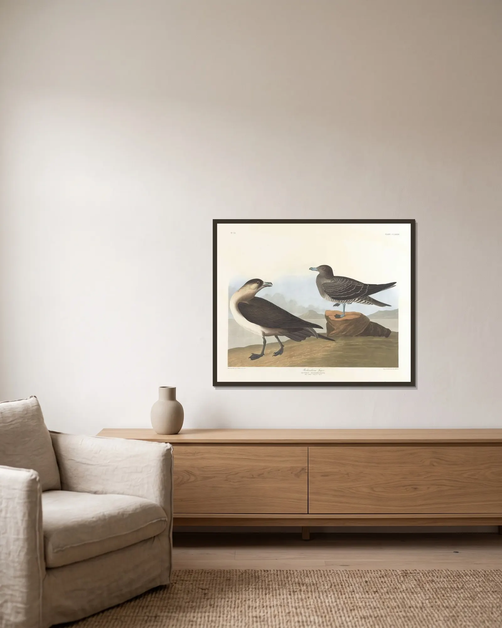 Richardson’s jager av John James Audubon inramad på en vägg