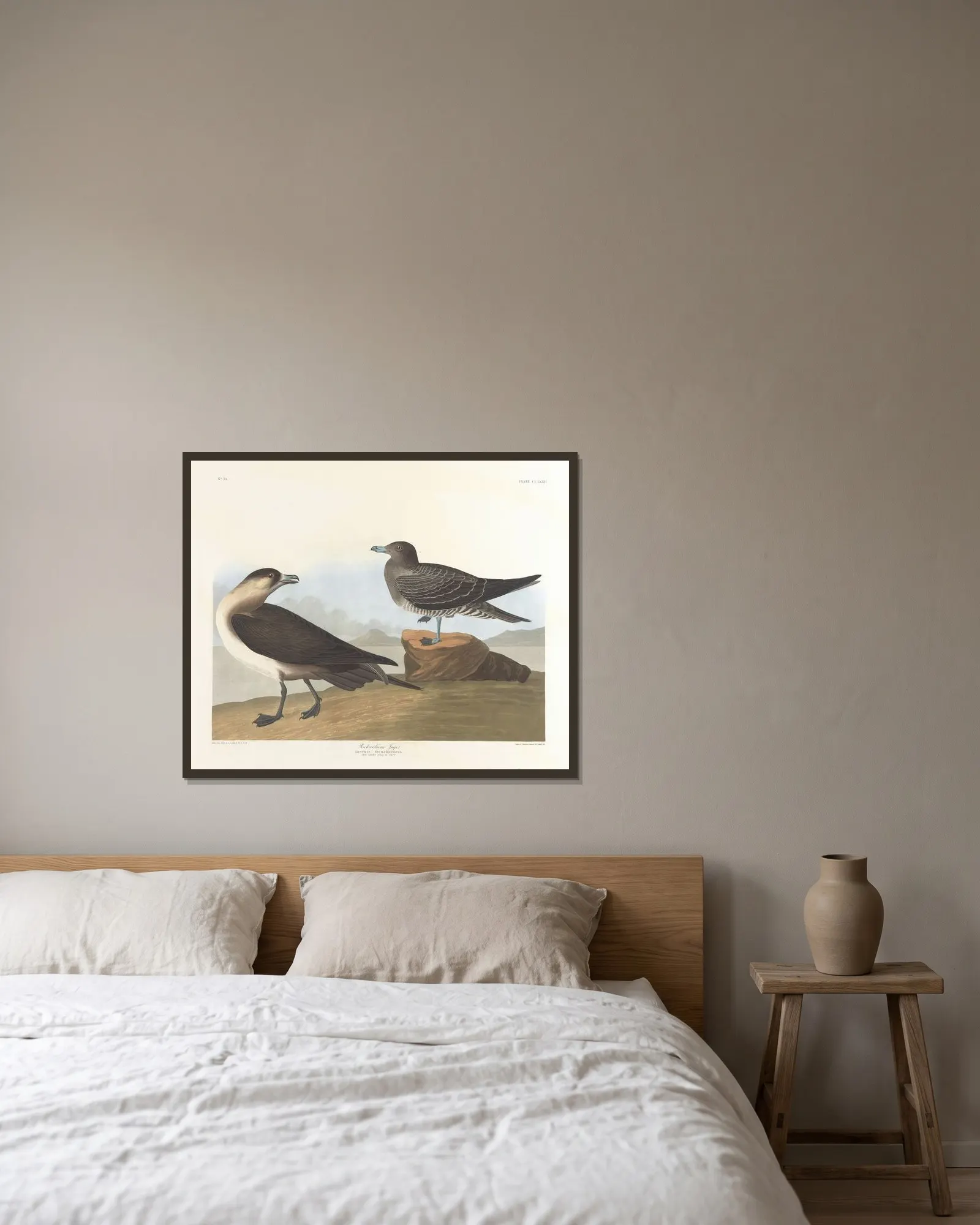 Richardson’s jager av John James Audubon inramad på en vägg