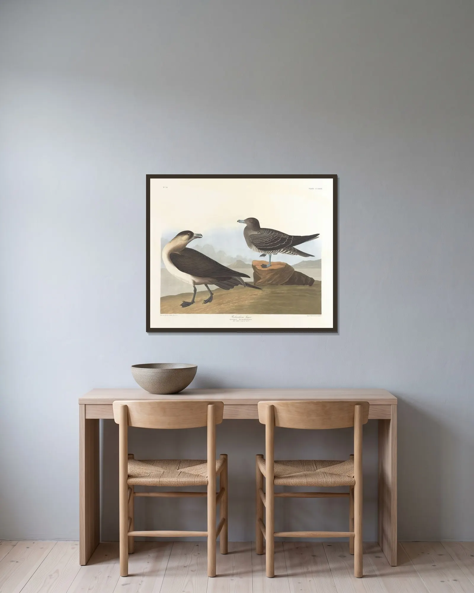Richardson’s jager av John James Audubon inramad på en vägg