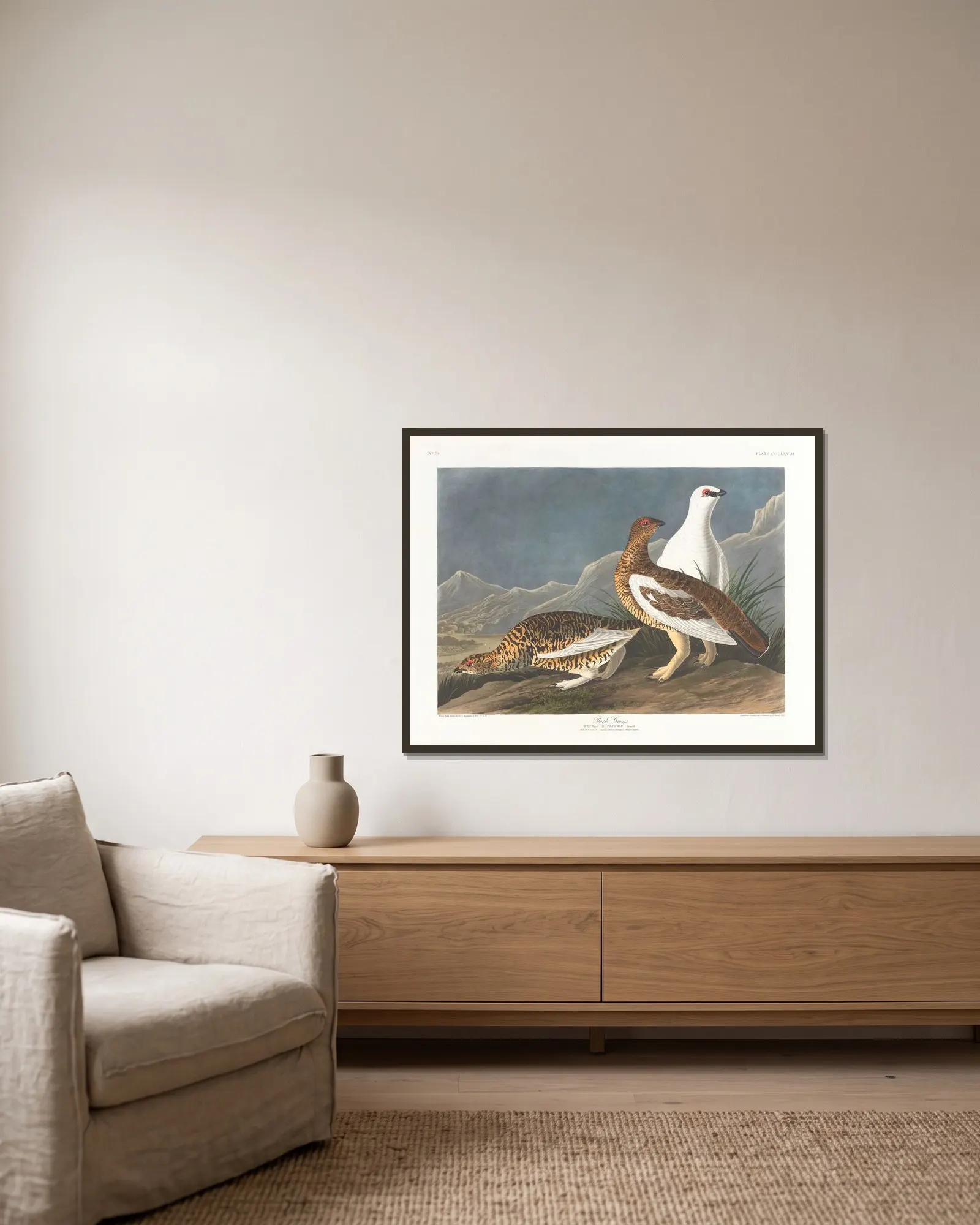 Rock grous av John James Audubon inramad på en vägg