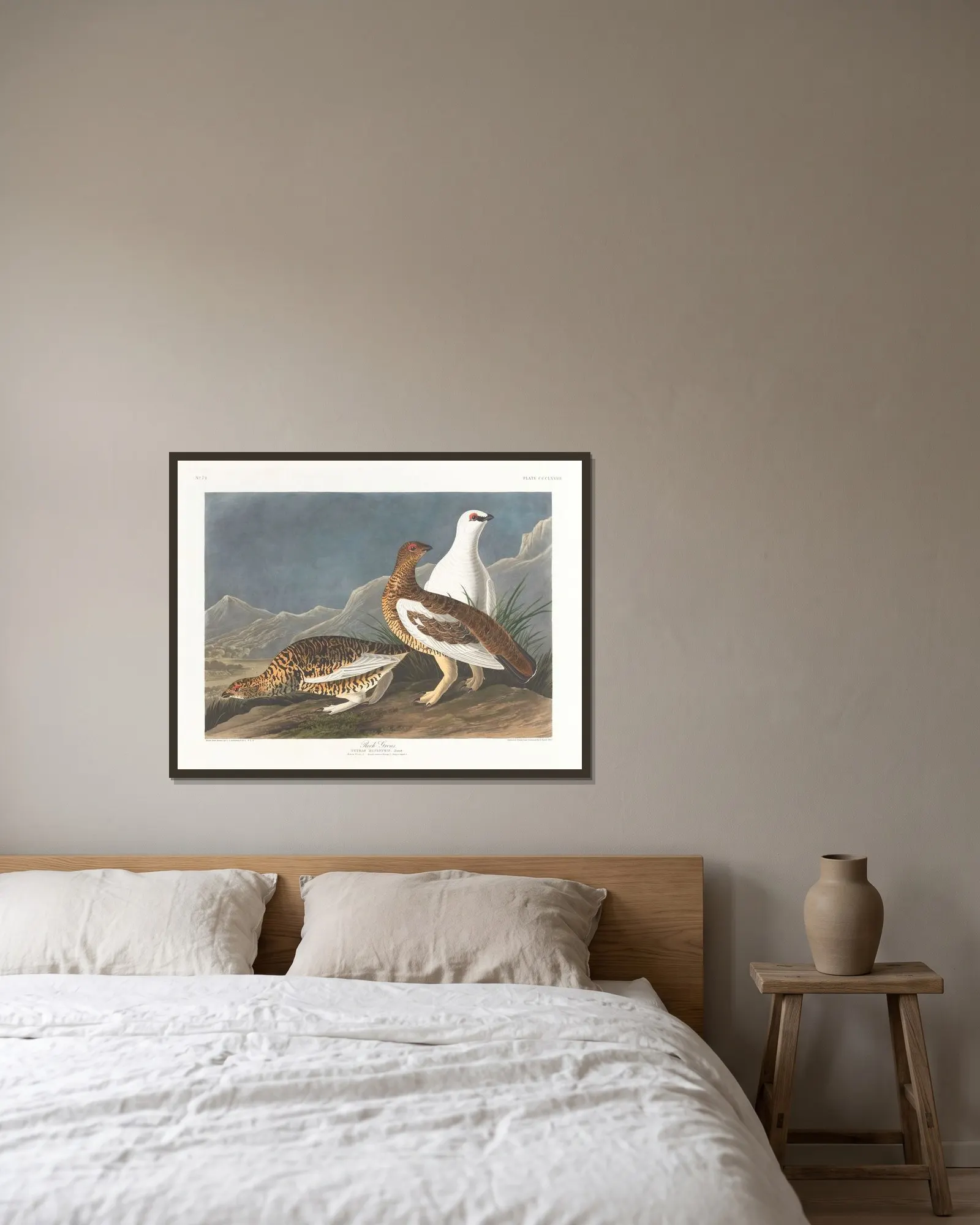 Rock grous av John James Audubon inramad på en vägg