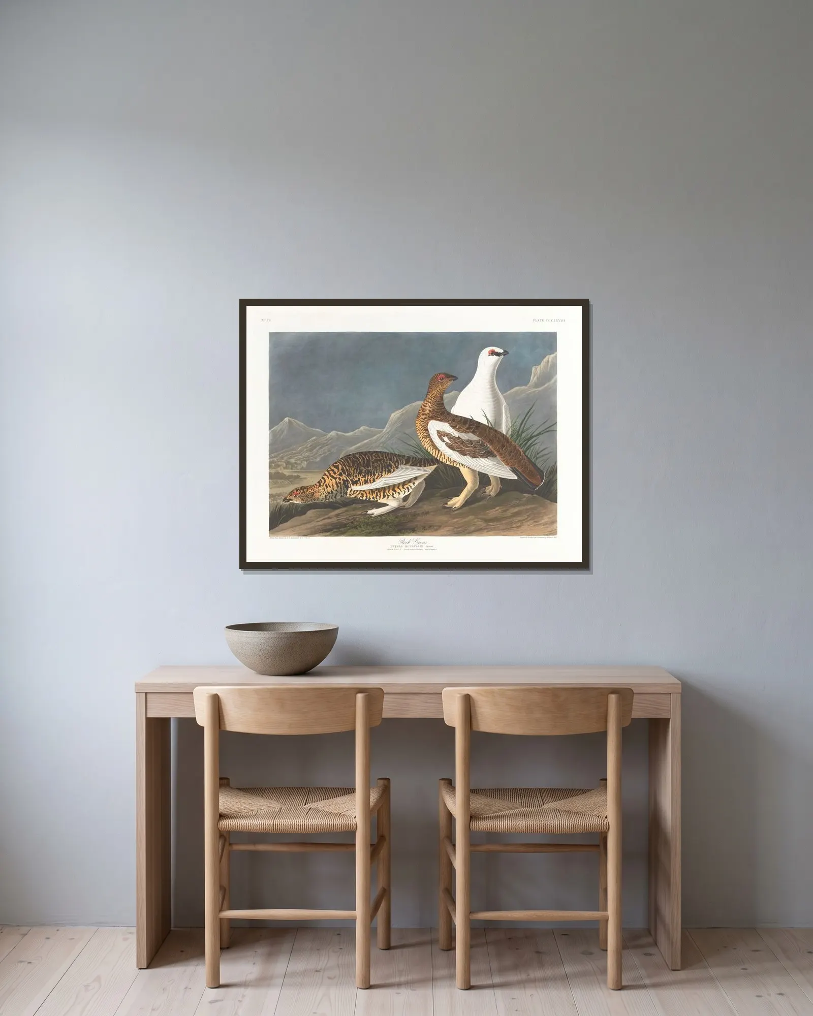 Rock grous av John James Audubon inramad på en vägg