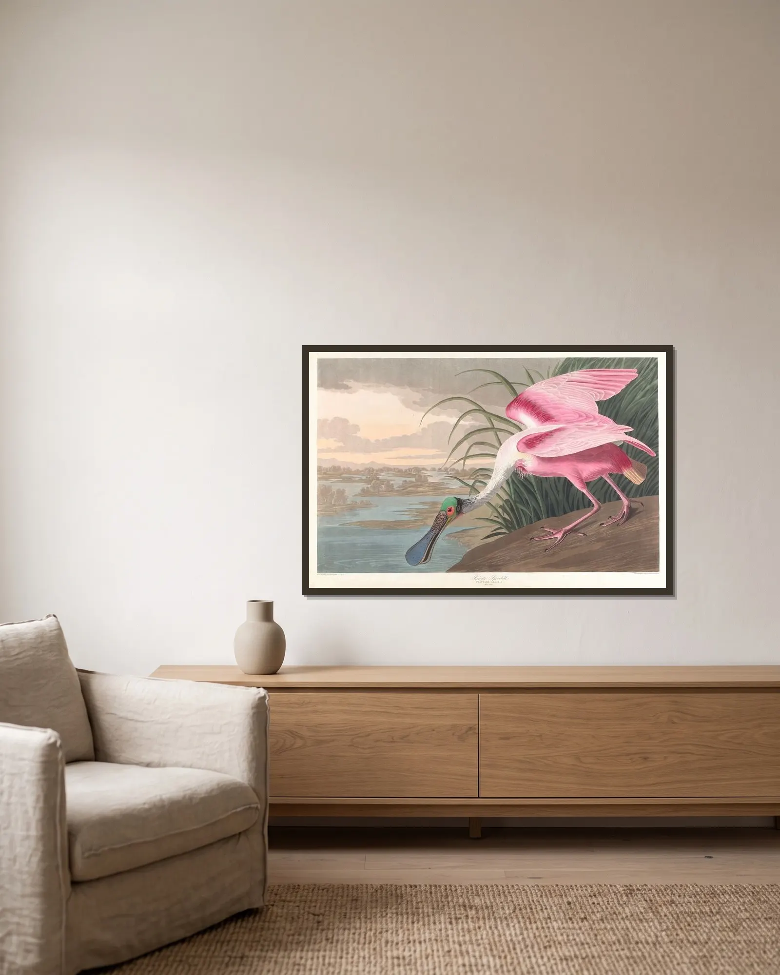 Roseate spoonbill av John James Audubon inramad på en vägg