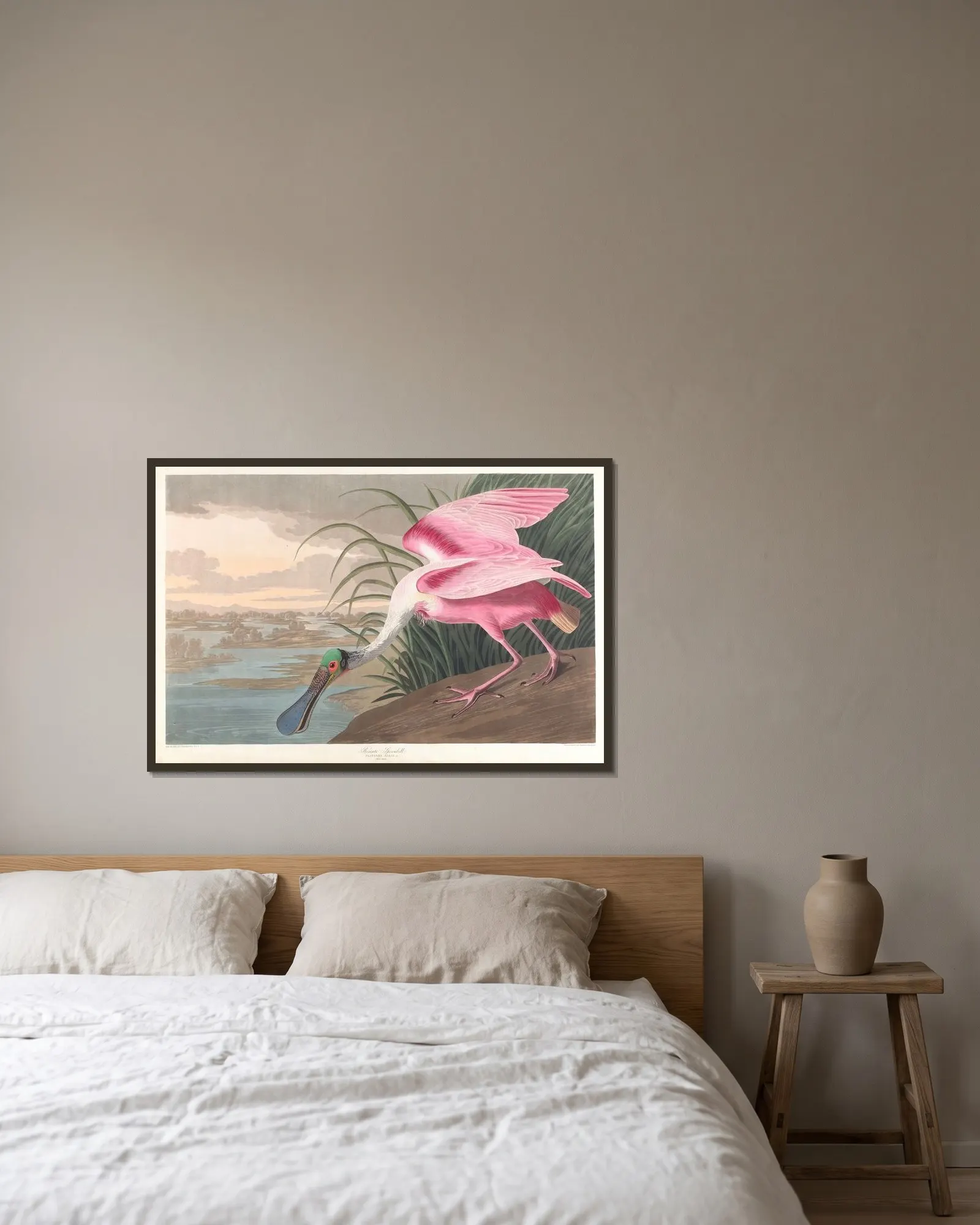 Roseate spoonbill av John James Audubon inramad på en vägg