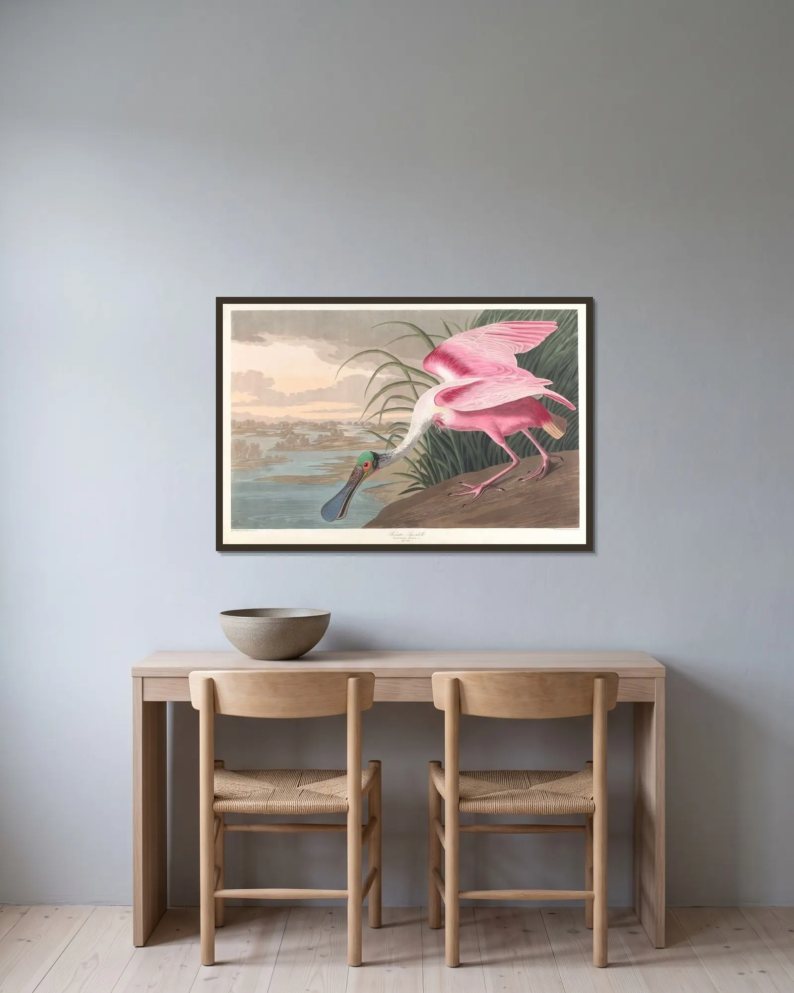 Roseate spoonbill av John James Audubon inramad på en vägg