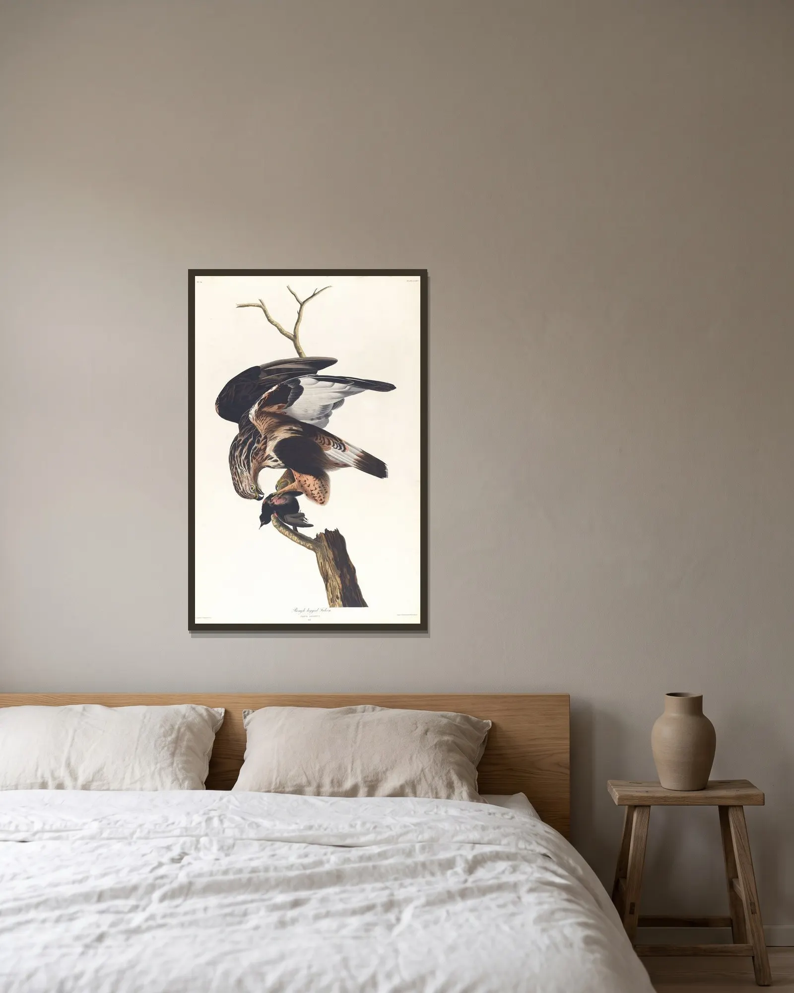 Rough-legged falcon av John James Audubon inramad på en vägg