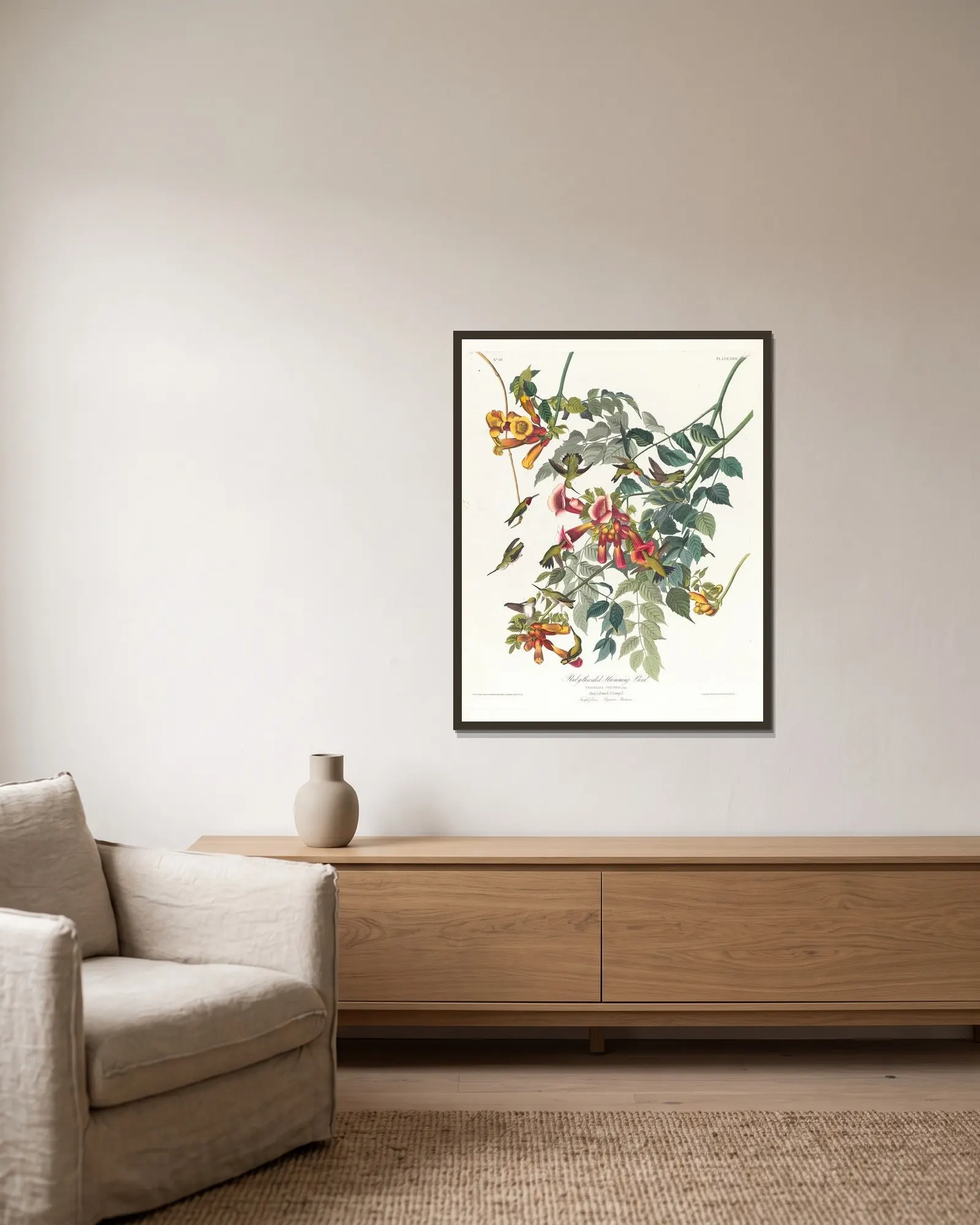 Ruby-throated humming bird av John James Audubon inramad på en vägg