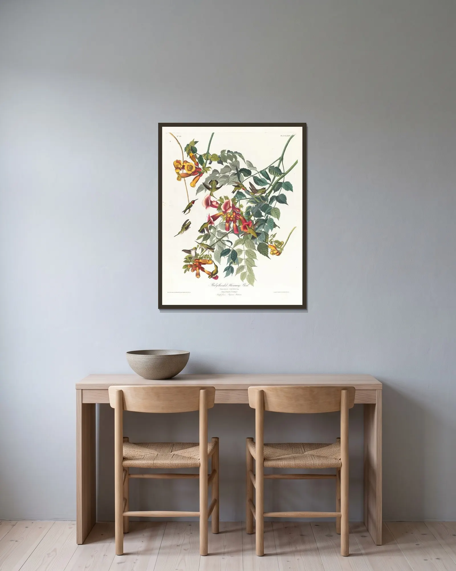 Ruby-throated humming bird av John James Audubon inramad på en vägg