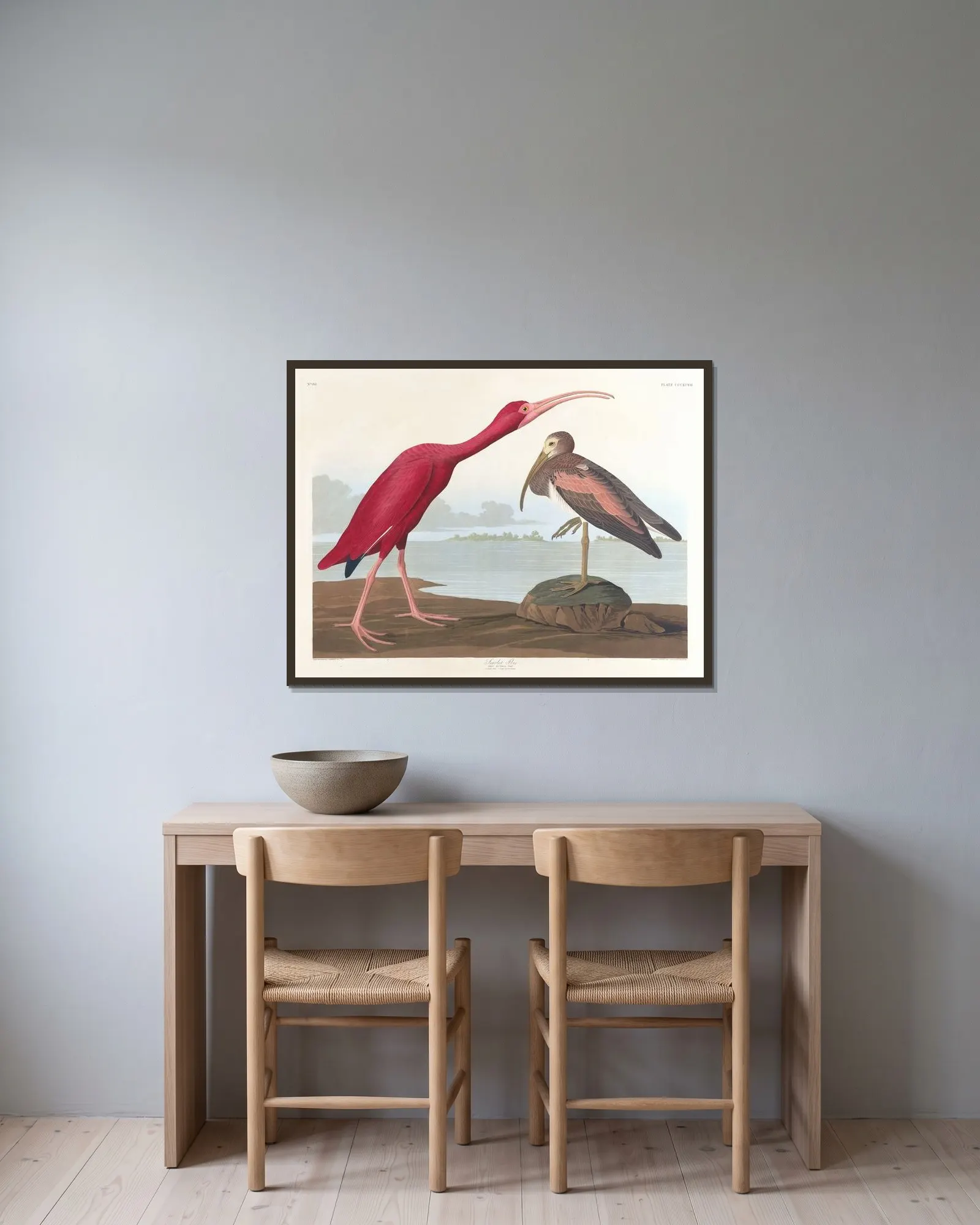 Scarlet ibis av John James Audubon inramad på en vägg