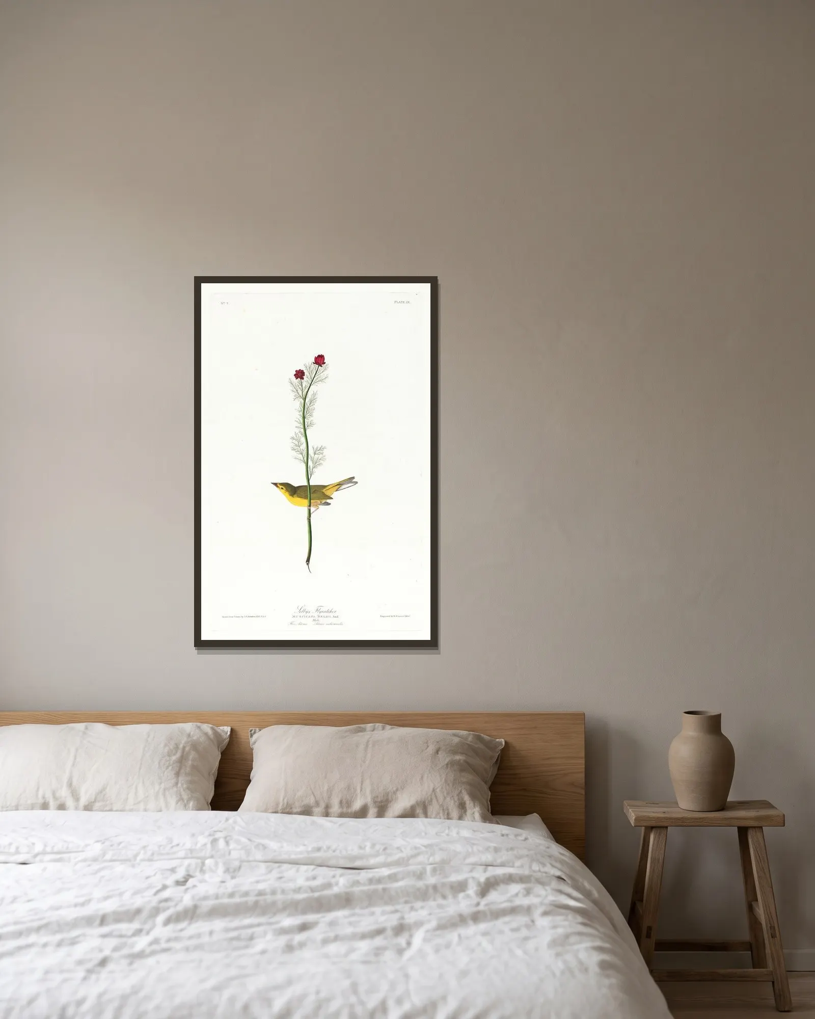 Selby’s flycatcher av John James Audubon inramad på en vägg