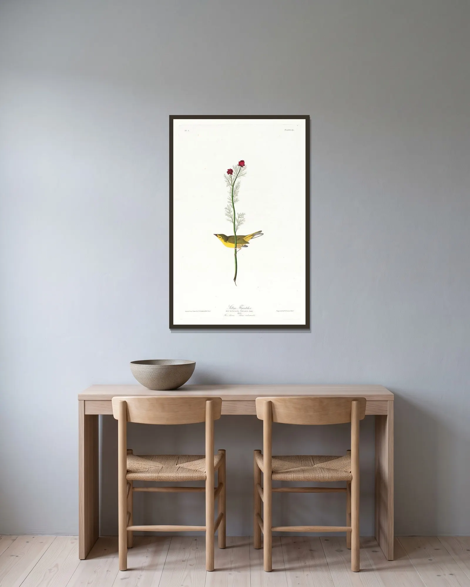 Selby’s flycatcher av John James Audubon inramad på en vägg