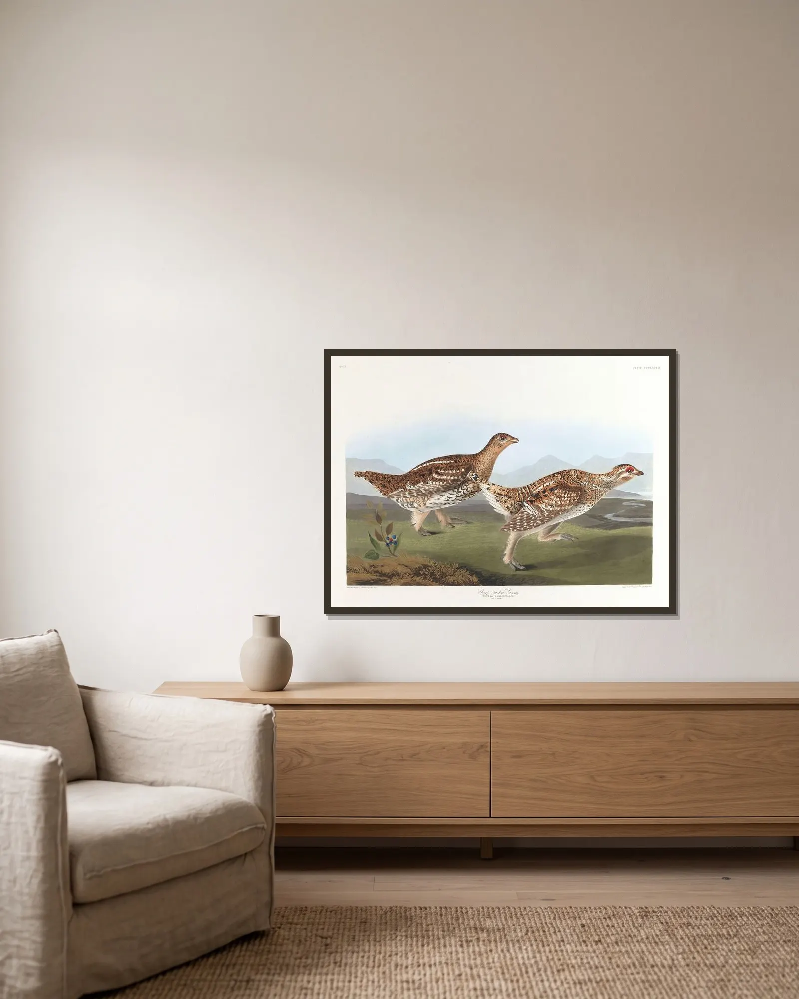 Sharp-tailed grous av John James Audubon inramad på en vägg