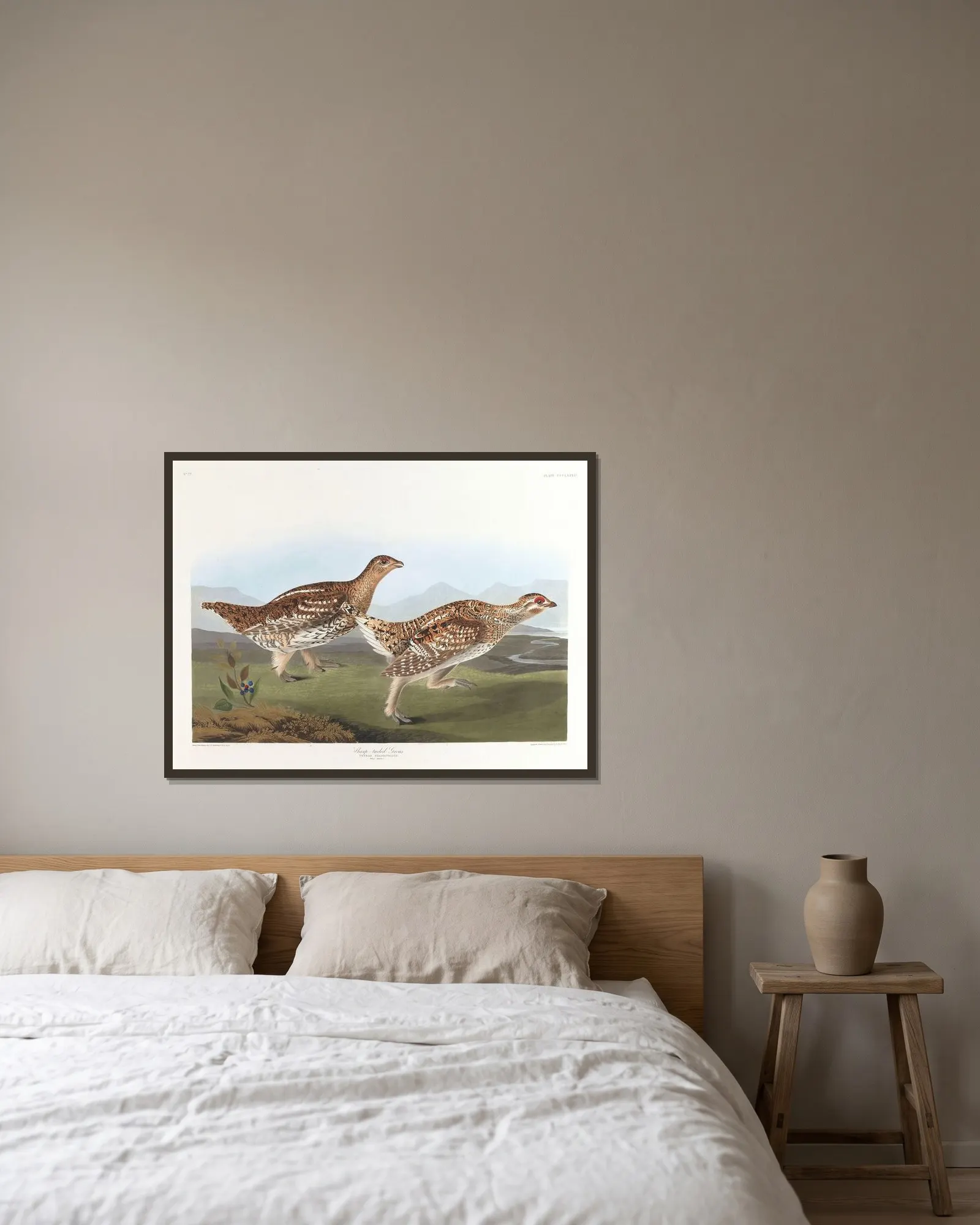 Sharp-tailed grous av John James Audubon inramad på en vägg