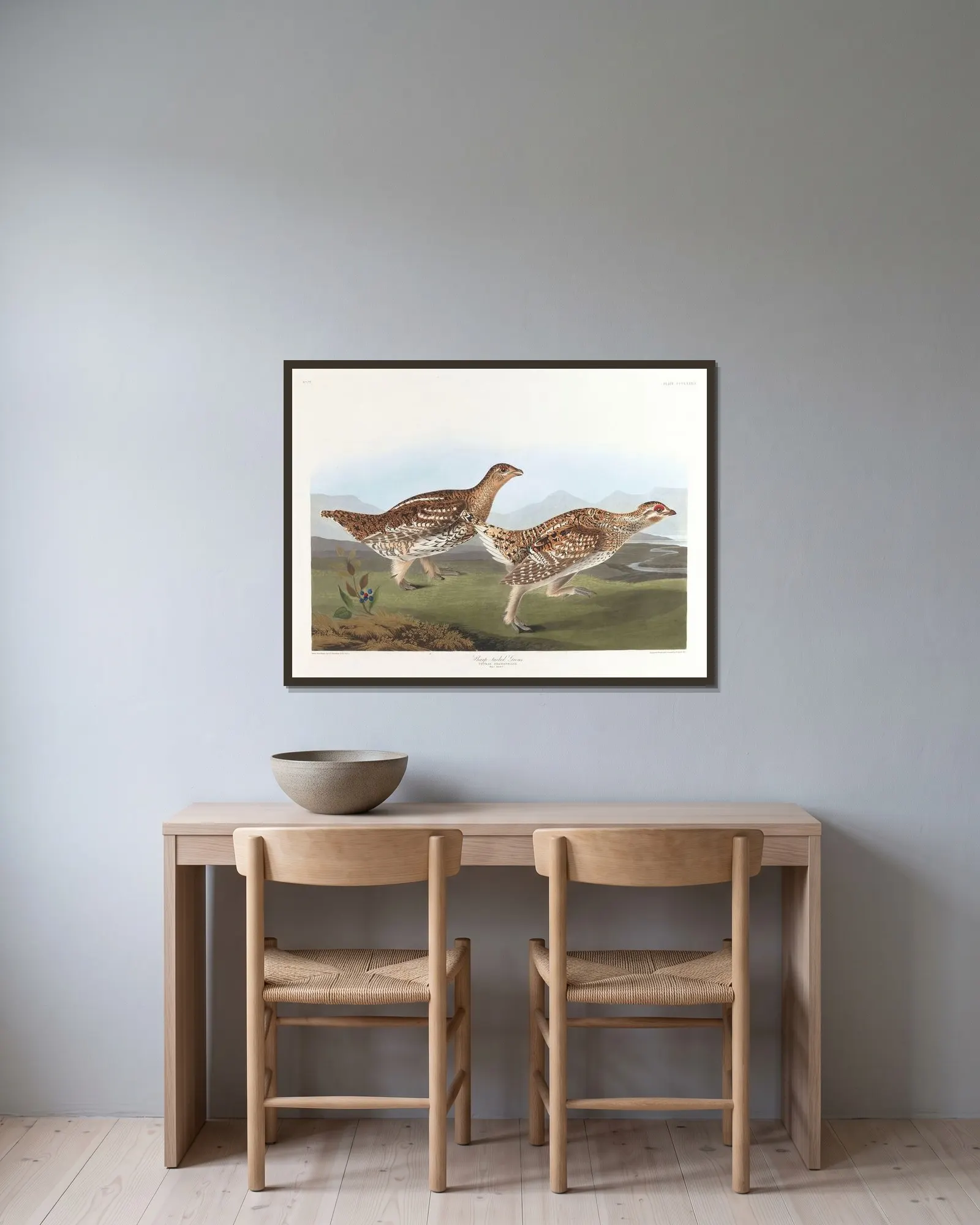 Sharp-tailed grous av John James Audubon inramad på en vägg